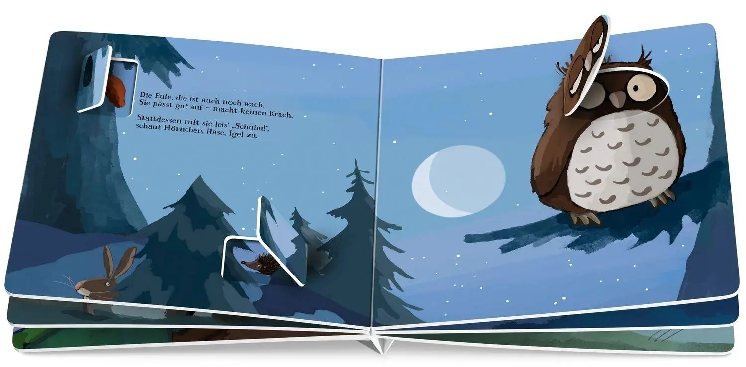 Bild: 9783751206204 | Nanu! Wer ist denn da noch wach? | Henrike Wilson | Buch | 16 S.