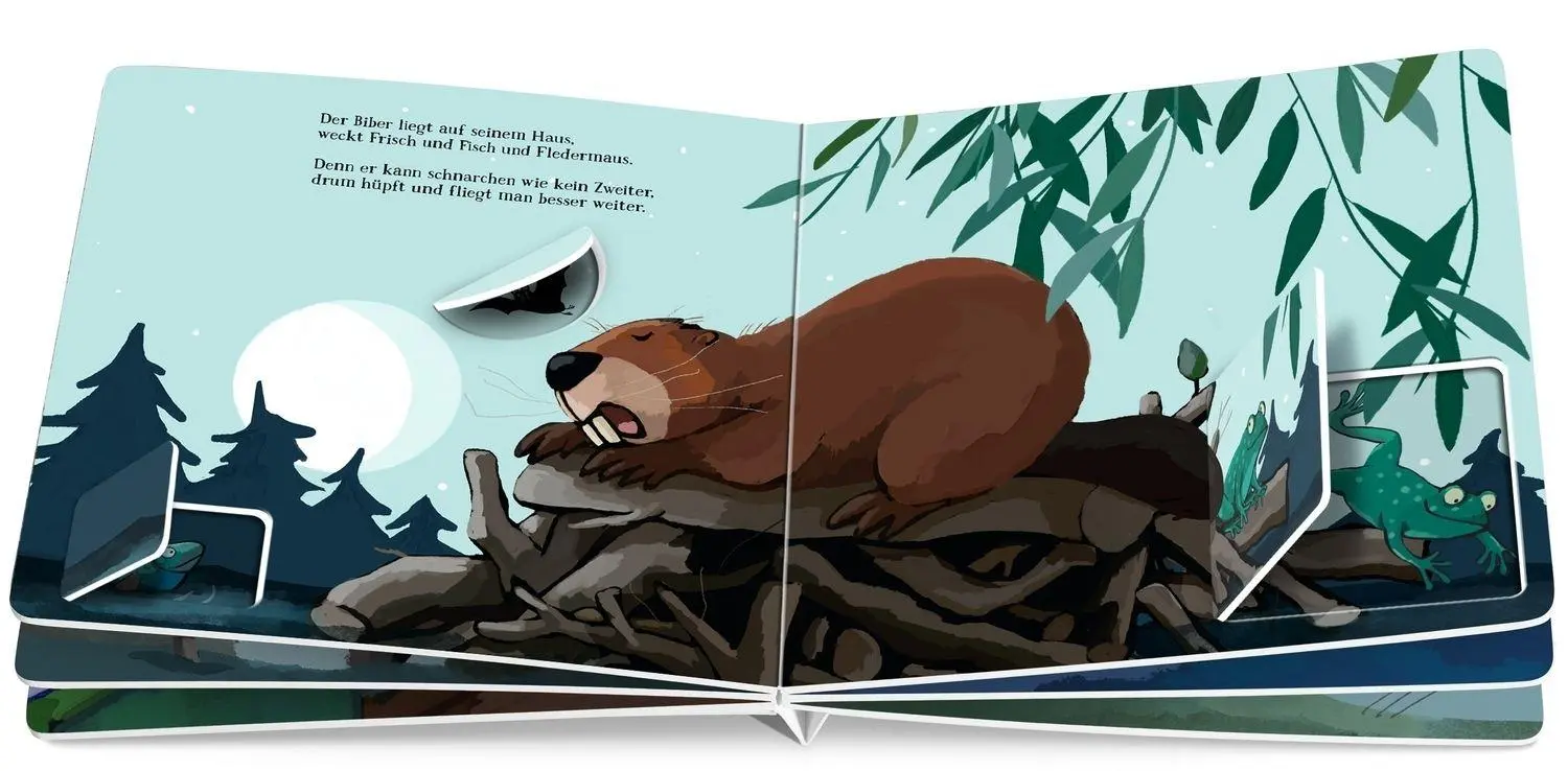 Bild: 9783751206204 | Nanu! Wer ist denn da noch wach? | Henrike Wilson | Buch | 16 S.