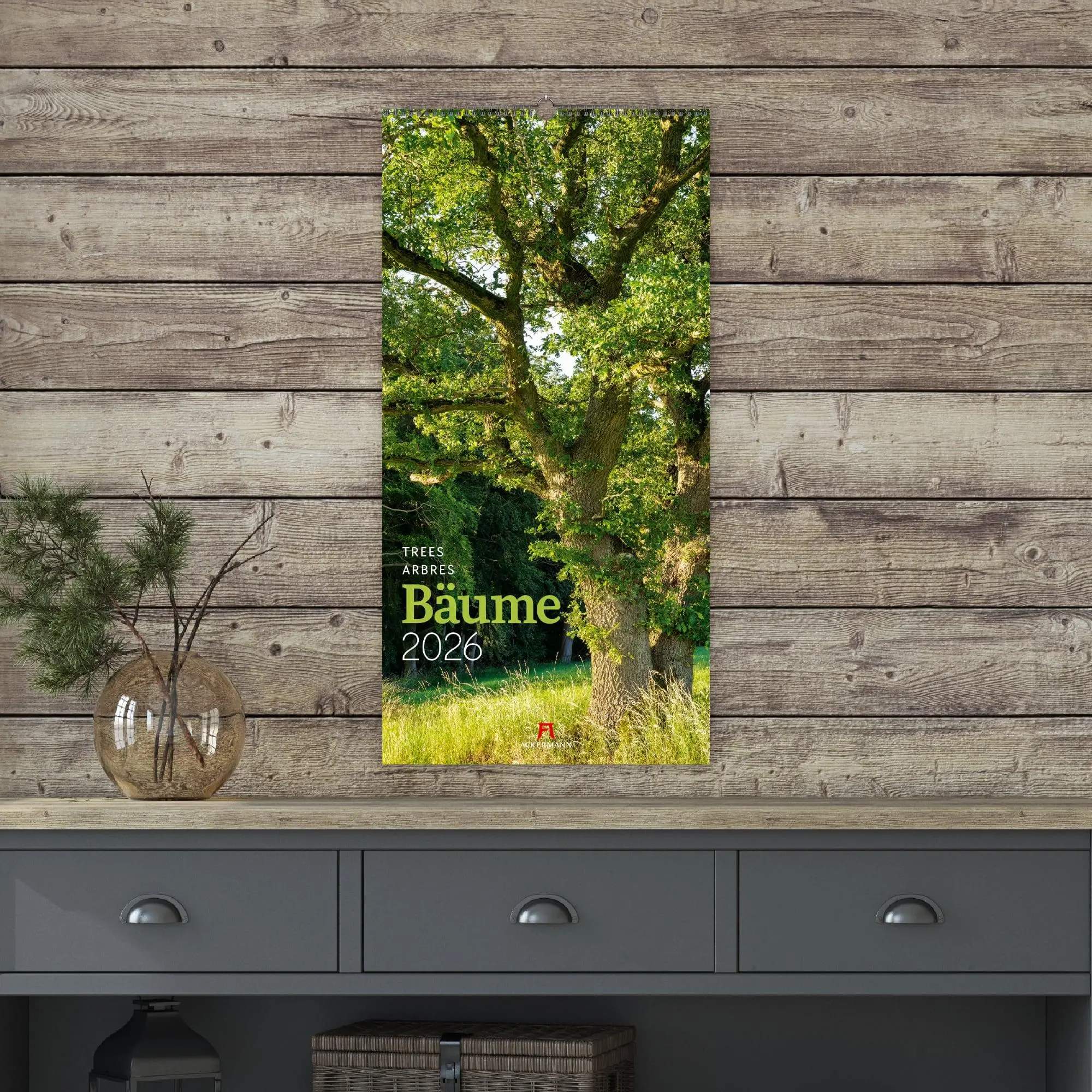 Bild: 9783838426204 | Bäume Kalender 2026 | Ackermann Kunstverlag GmbH | Kalender | 14 S.
