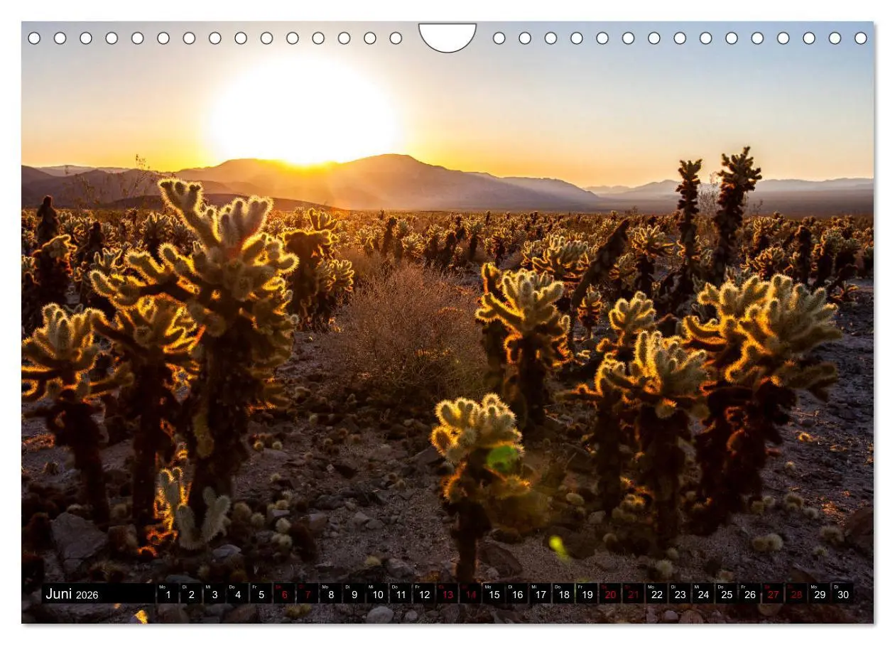 Bild: 9783457886304 | Landschaftliche Schätze (Wandkalender 2026 DIN A4 quer), CALVENDO...
