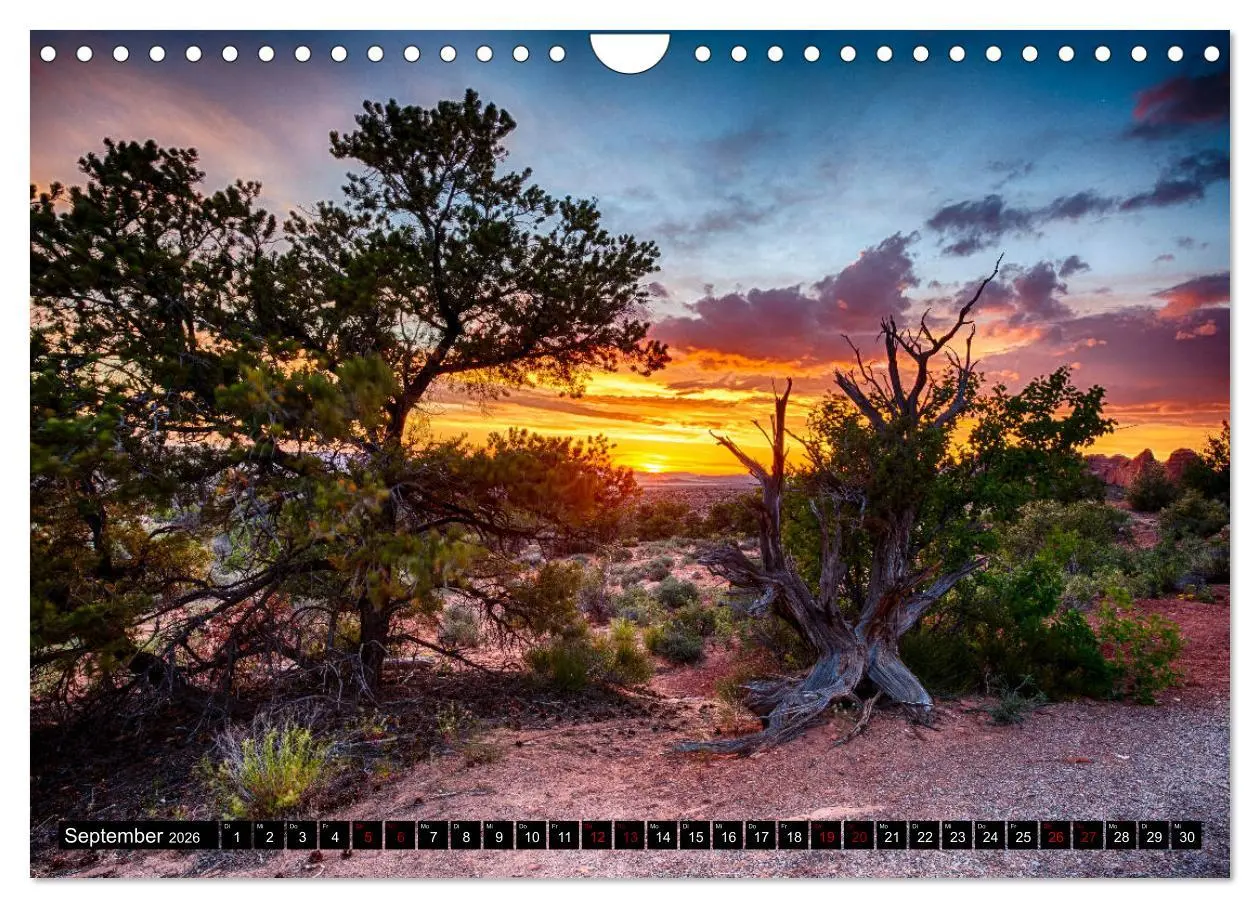 Bild: 9783457886304 | Landschaftliche Schätze (Wandkalender 2026 DIN A4 quer), CALVENDO...