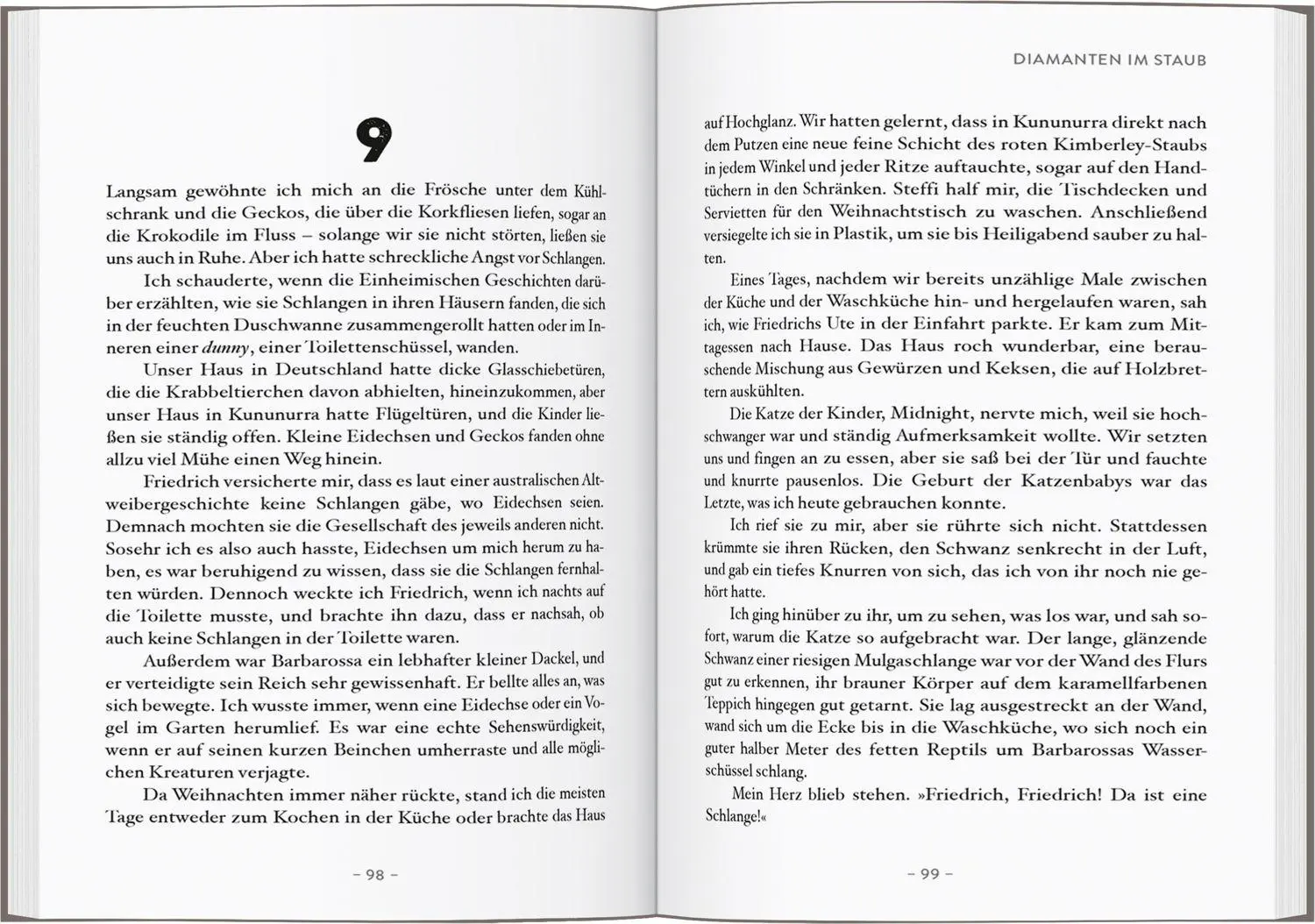 Bild: 9783616036304 | Diamanten im Staub | Frauke Bolten-Boshammer mit Sue Smethurst | Buch