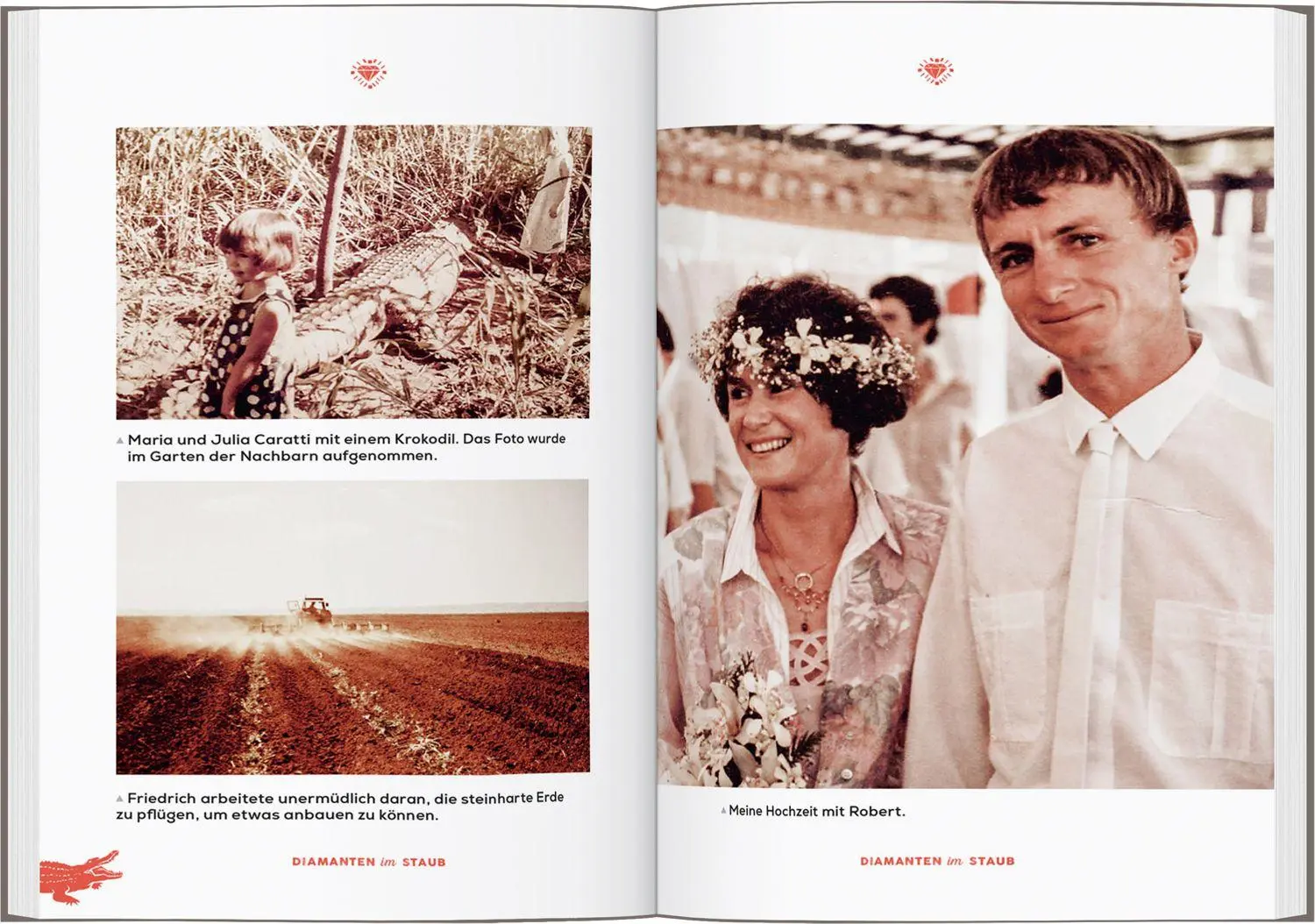 Bild: 9783616036304 | Diamanten im Staub | Frauke Bolten-Boshammer mit Sue Smethurst | Buch