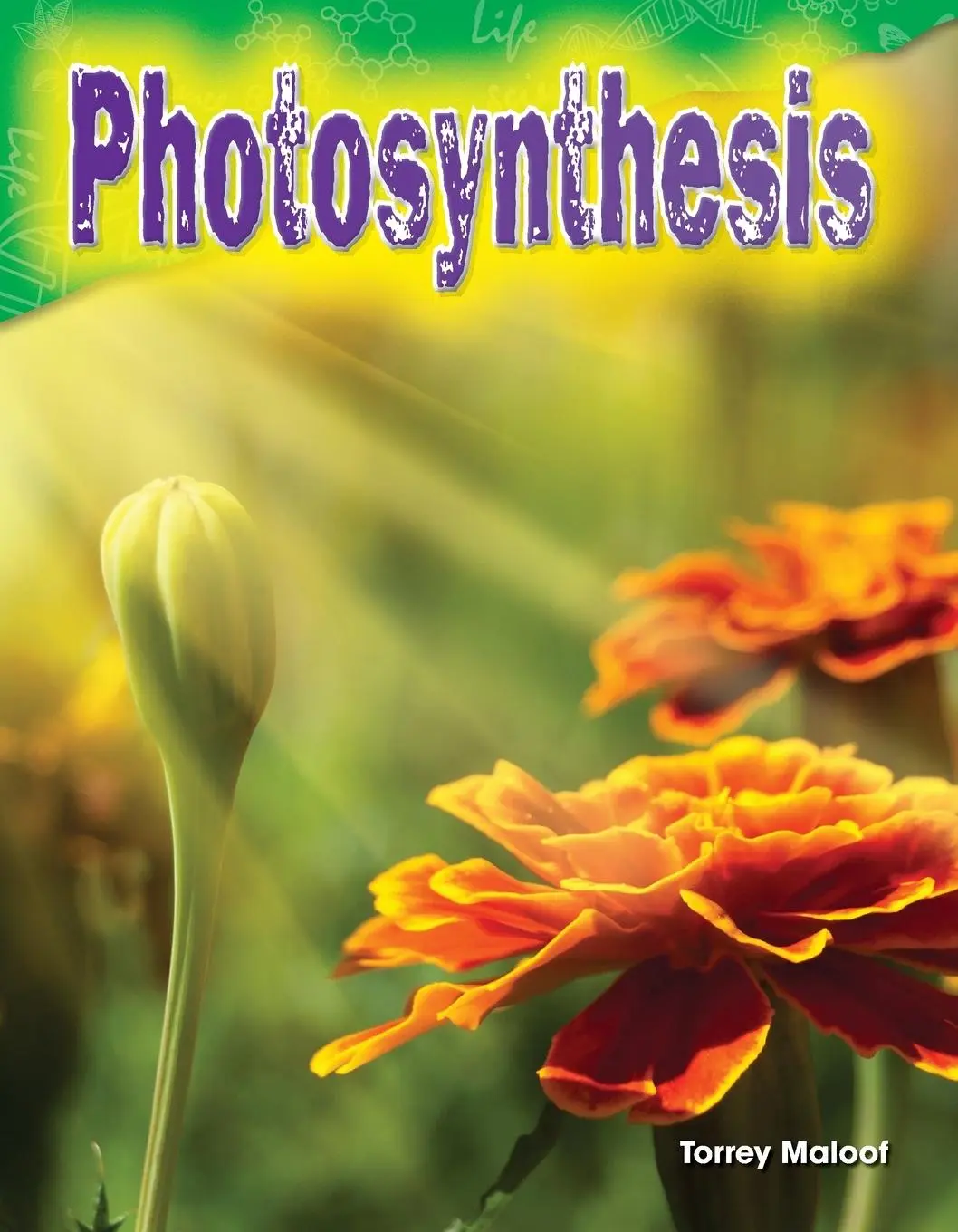 Cover: 9781480746404 | Photosynthesis | Torrey Maloof | Taschenbuch | Englisch | 2015