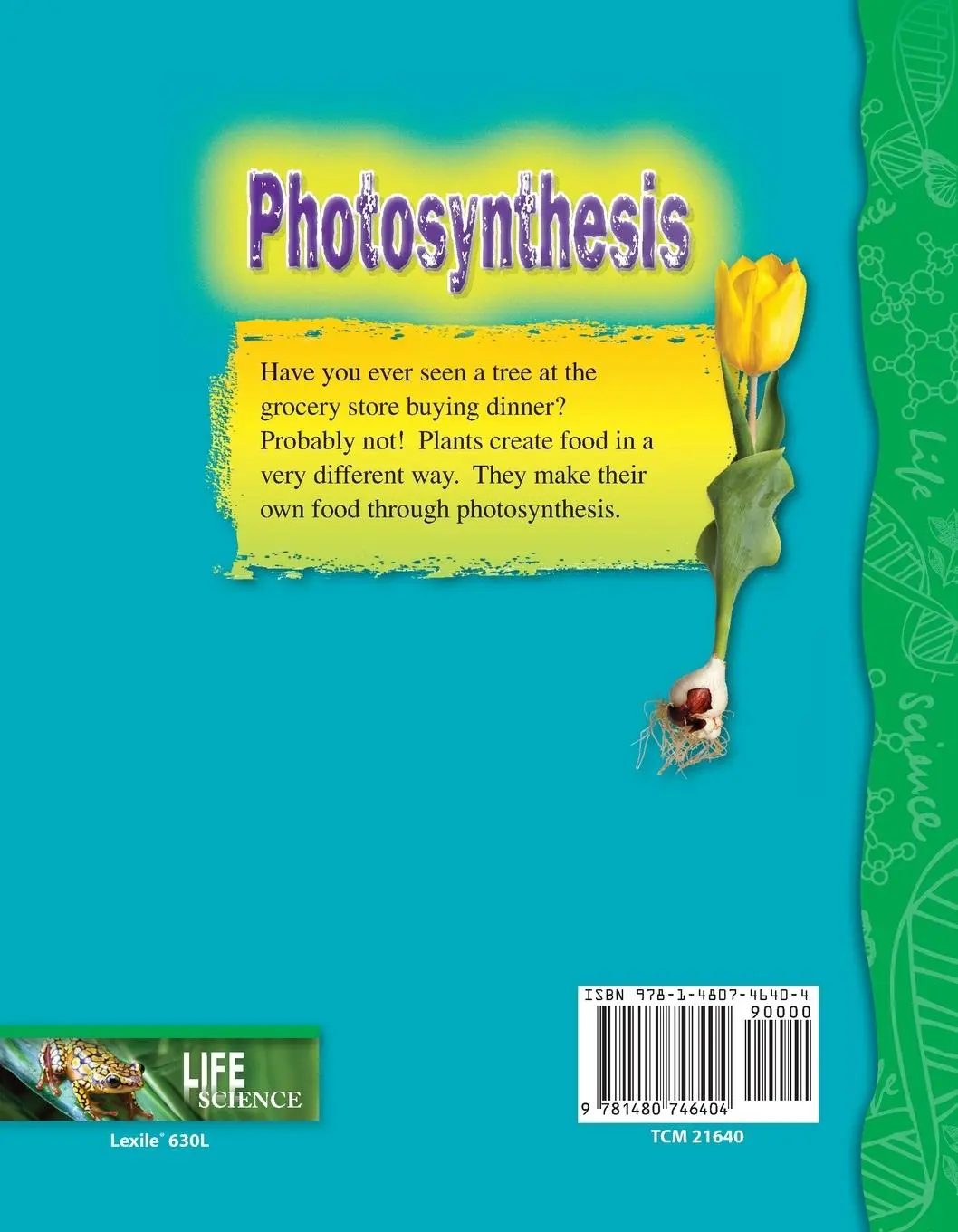 Rückseite: 9781480746404 | Photosynthesis | Torrey Maloof | Taschenbuch | Kartoniert / Broschiert