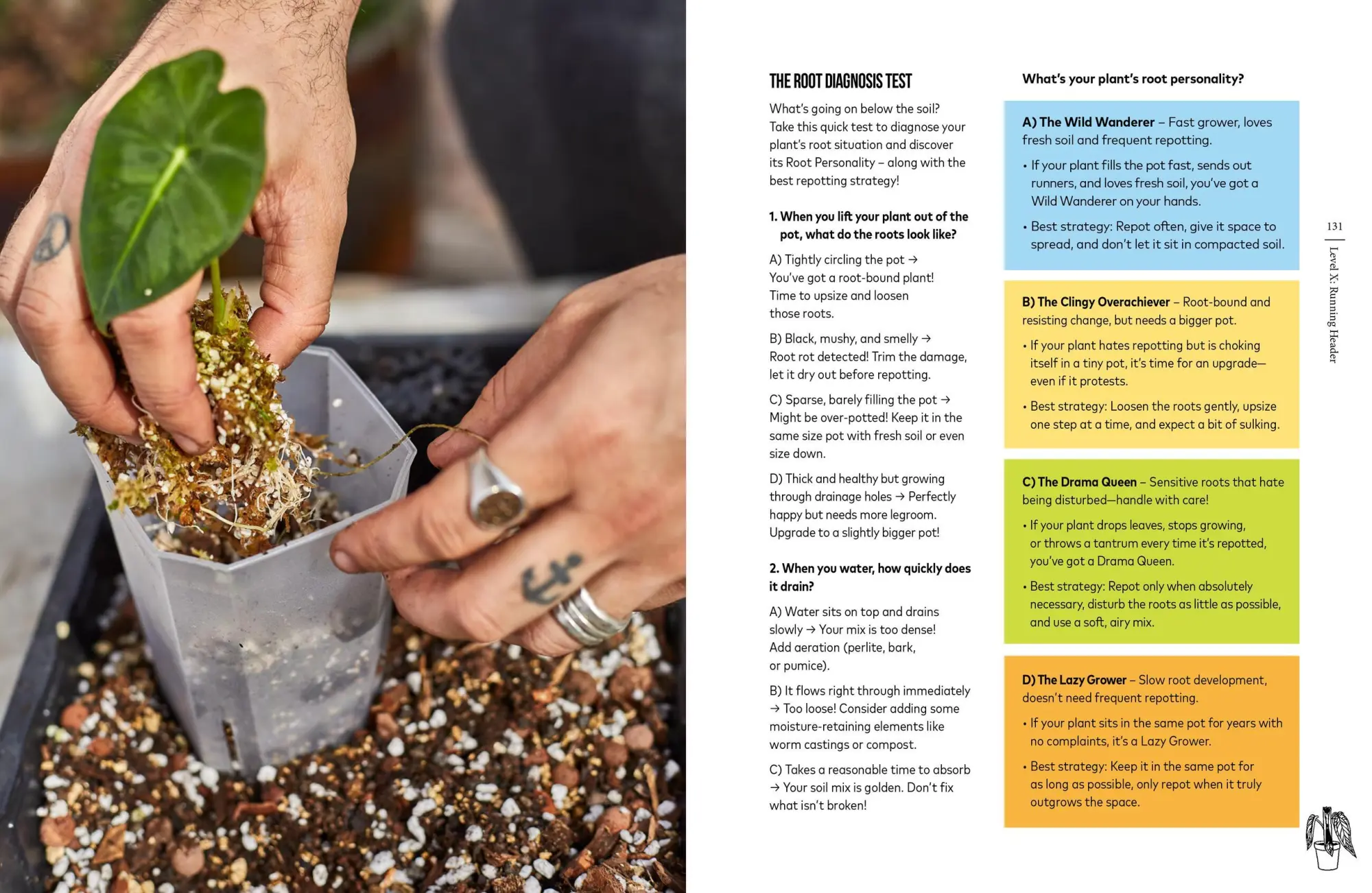 Bild: 9781643266404 | You're Overwatering It! | A Plant Guru's Guide to Houseplants | Buch