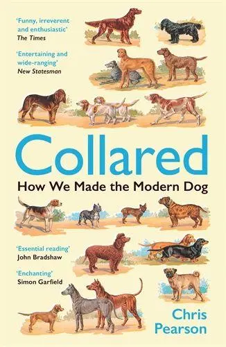 Cover: 9781800816404 | Collared | How We Made the Modern Dog | Chris Pearson | Taschenbuch
