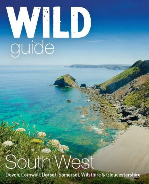 Cover: 9781910636404 | Wild Guide South West | Daniel Start (u. a.) | Taschenbuch | Englisch