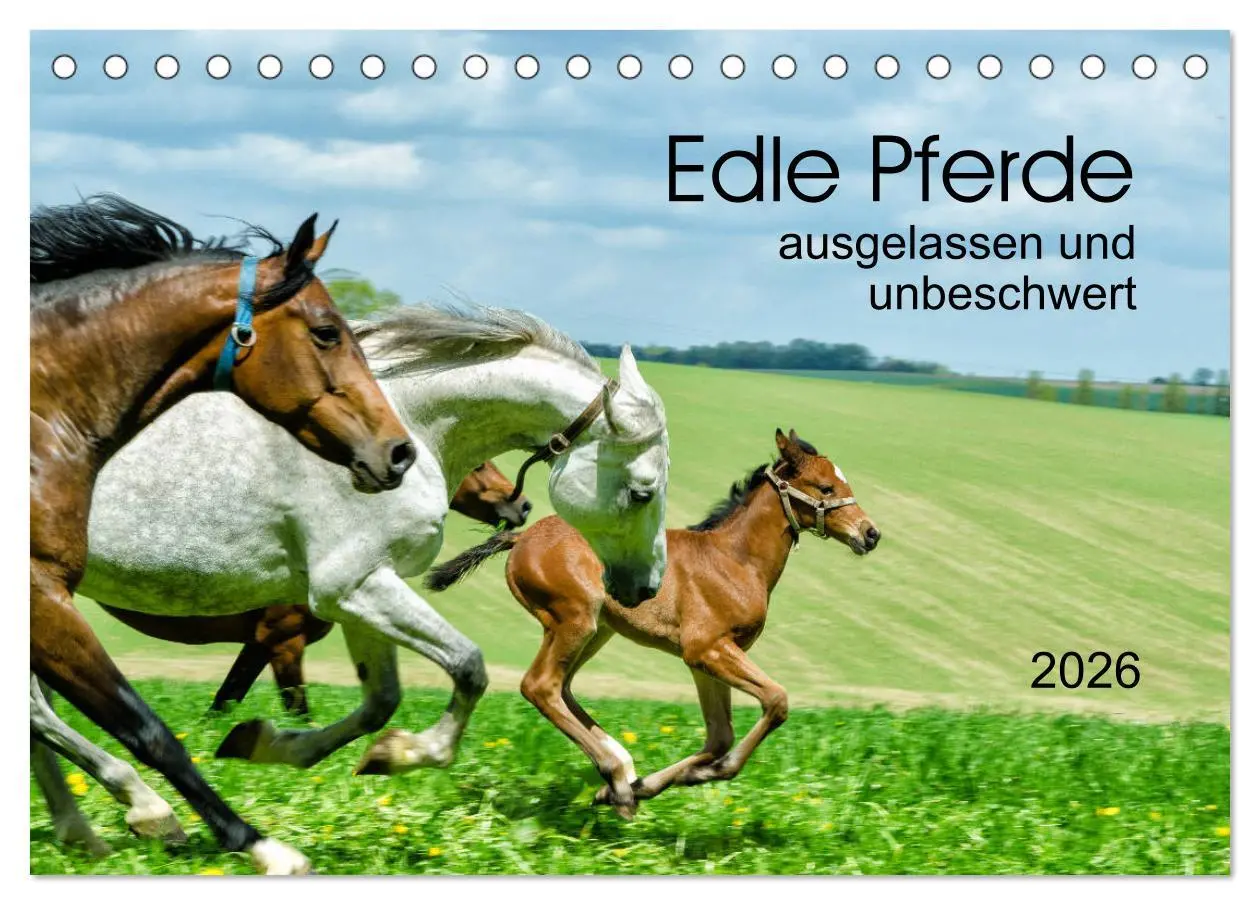 Cover: 9783457706404 | Edle Pferde - ausgelassen und unbeschwert (Tischkalender 2026 DIN...