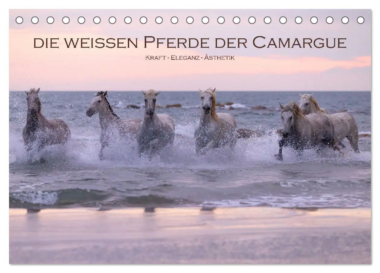 Cover: 9783457306604 | Die weißen Pferde der Camargue (Tischkalender 2026 DIN A5 quer),...
