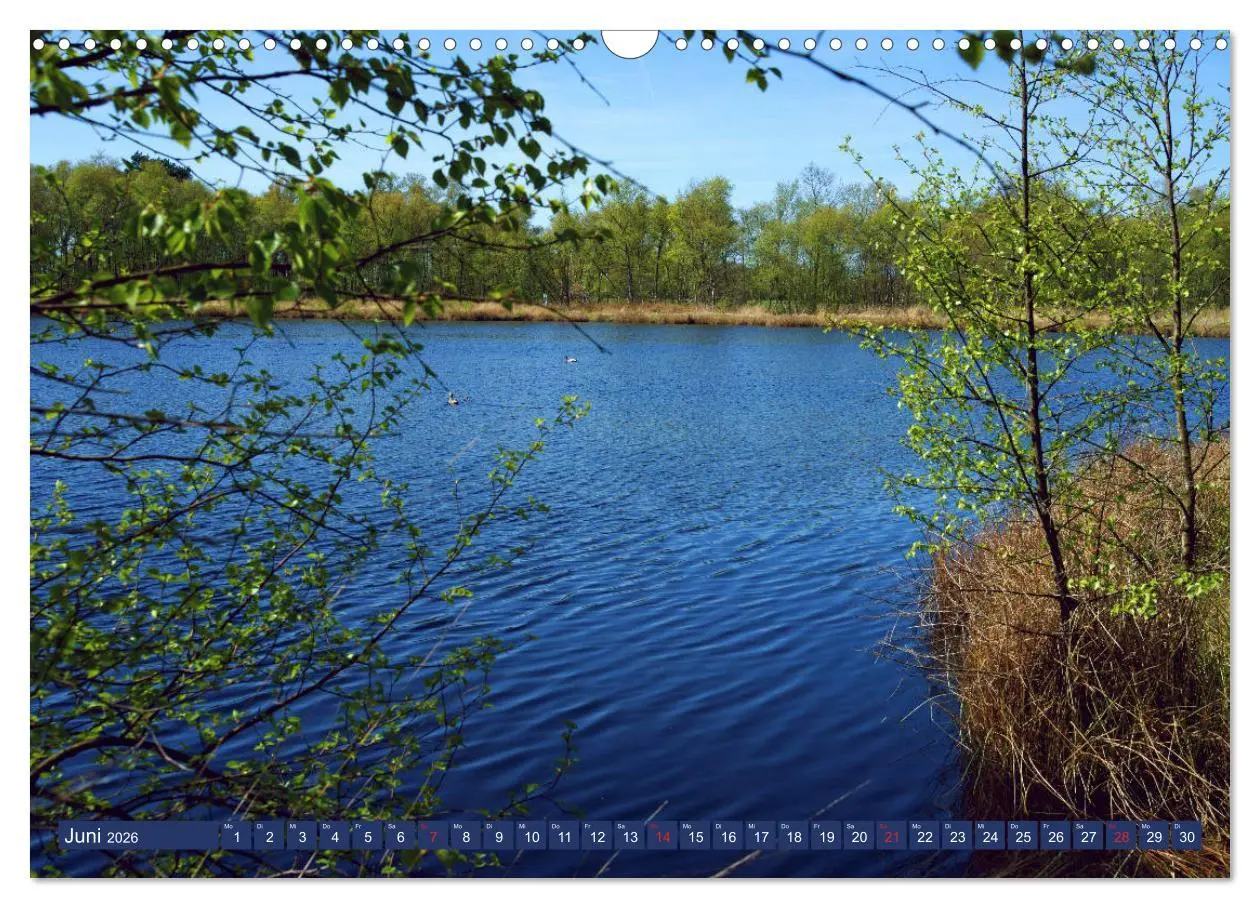 Bild: 9783457926604 | Schönes Ammerland (Wandkalender 2026 DIN A3 quer), CALVENDO...
