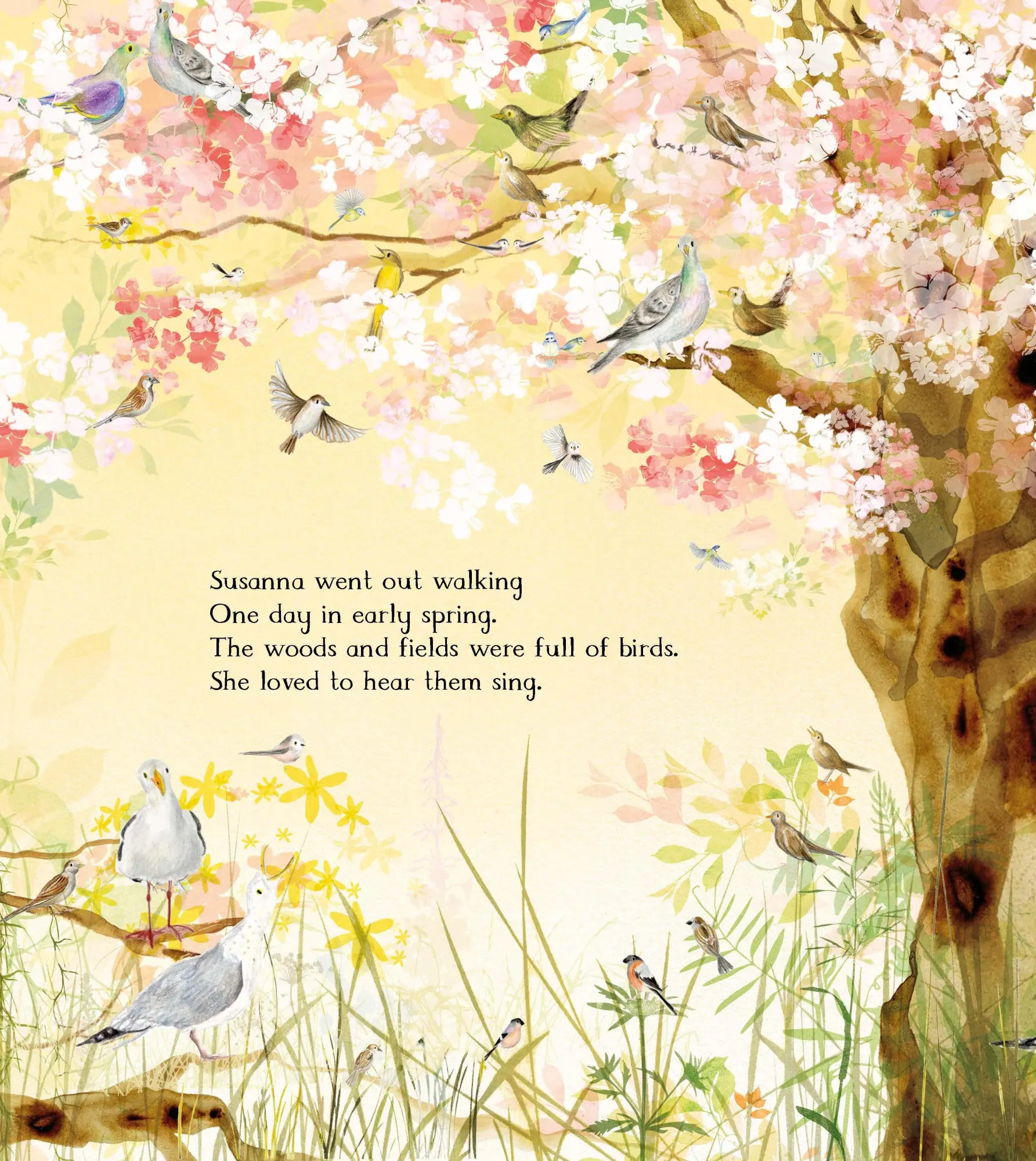Bild: 9781035066704 | The Magic Feather | Julia Donaldson | Buch | Gebunden | Englisch