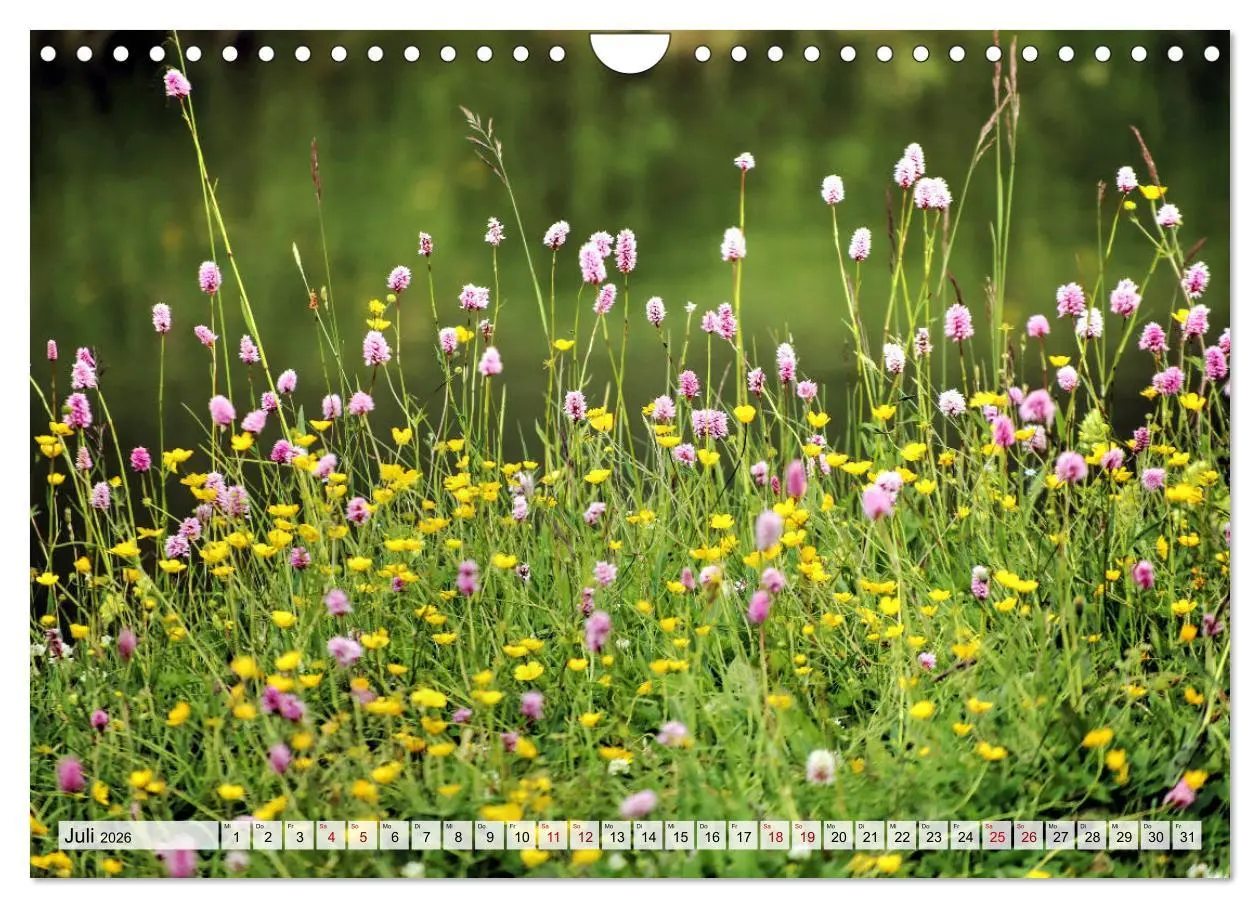 Bild: 9783457776704 | Georgien - Kirchen Klöster Kaukasus (Wandkalender 2026 DIN A4...