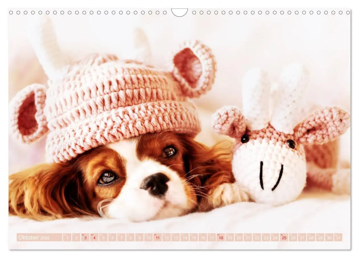 Bild: 9783457916704 | Der Welpenkalender - Cavalier King Charles Spaniel (Wandkalender...