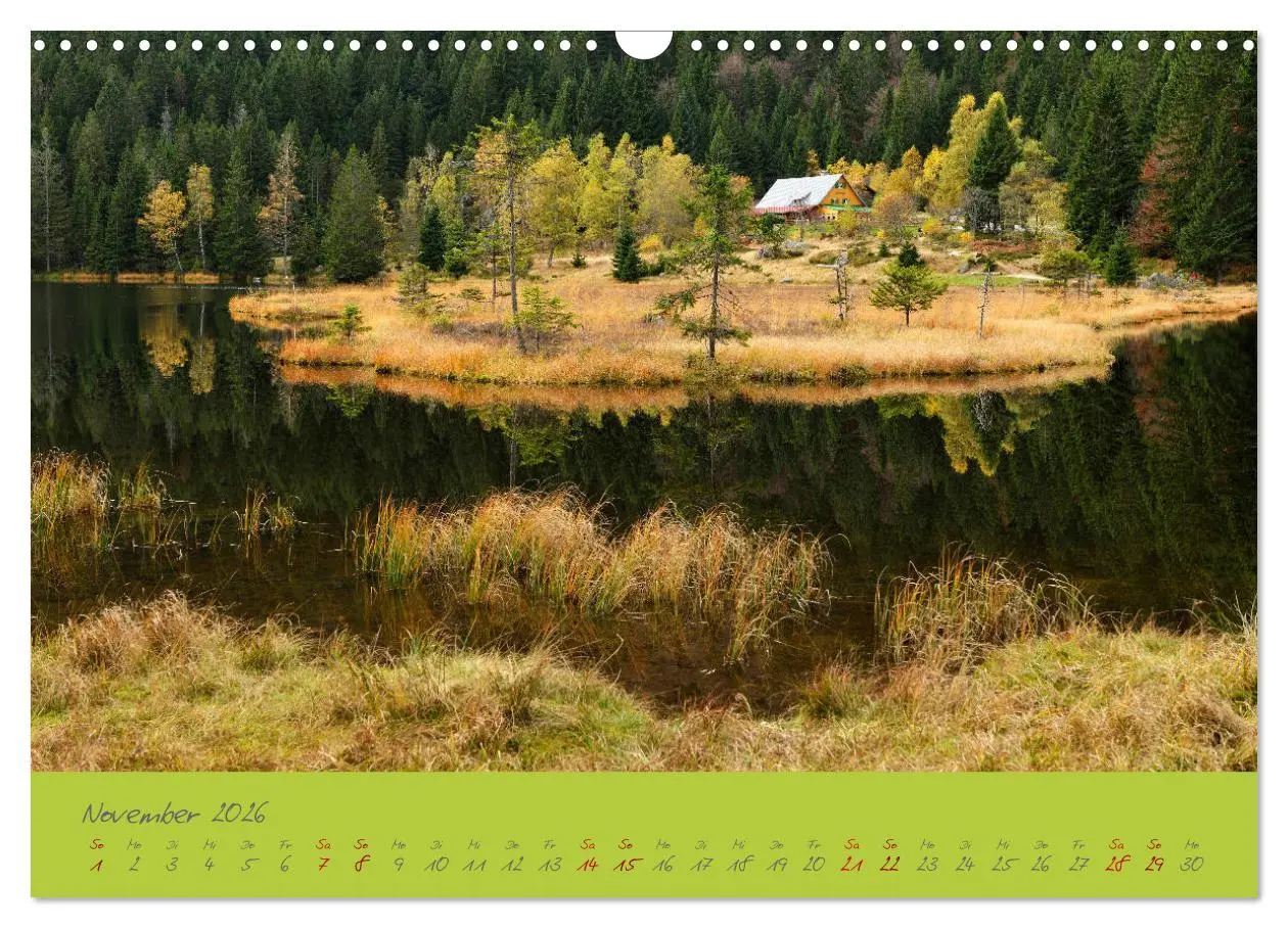 Bild: 9783457766804 | Der Bayerische Wald (Wandkalender 2026 DIN A3 quer), CALVENDO...