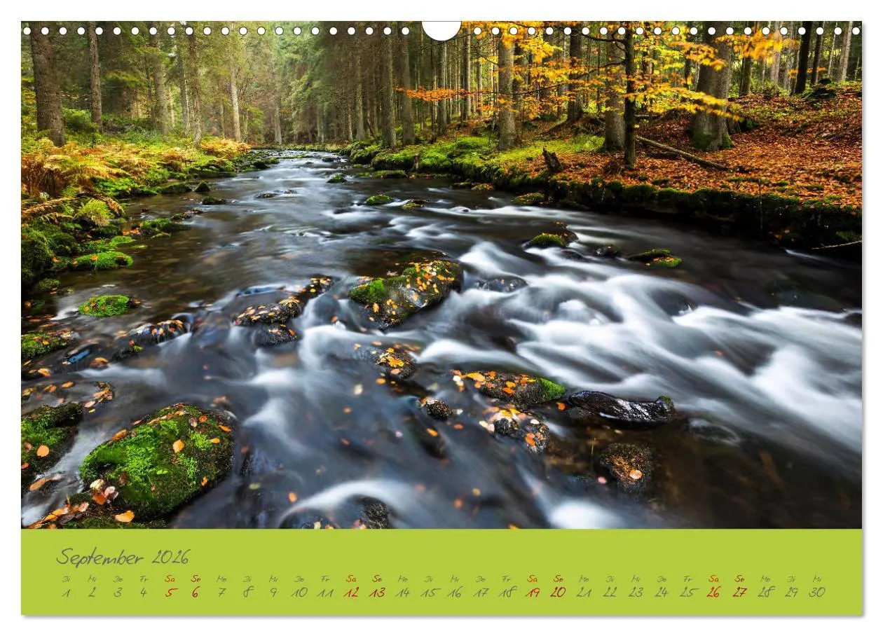 Bild: 9783457766804 | Der Bayerische Wald (Wandkalender 2026 DIN A3 quer), CALVENDO...