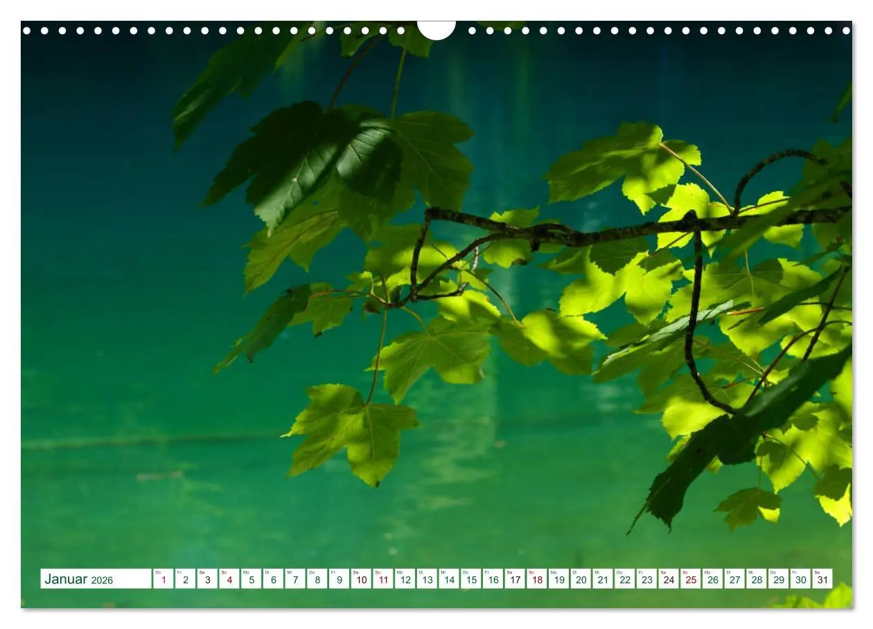 Bild: 9783457906804 | GRÜN . Die Kraft der Natur (Wandkalender 2026 DIN A3 quer),...