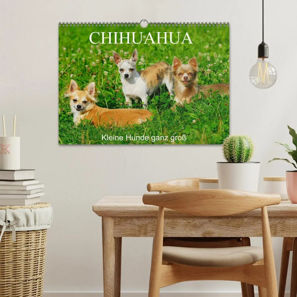 Bild: 9783516166804 | Chihuahua - Kleine Hunde ganz groß (Wandkalender 2026 DIN A3 quer),...