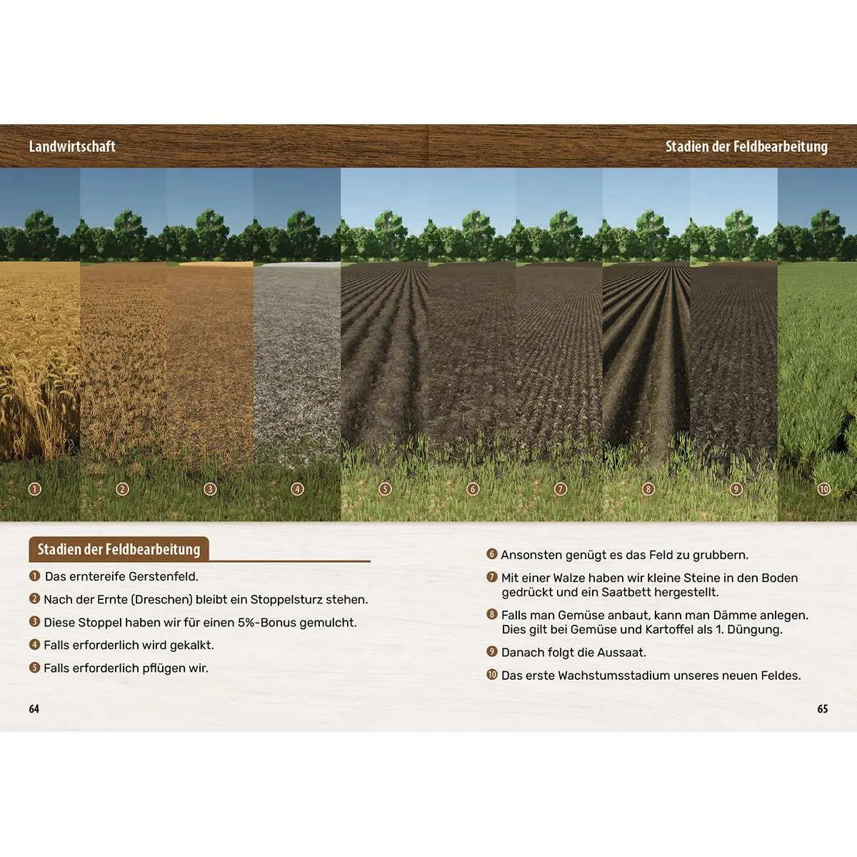 Bild: 9783832806804 | Landwirtschaftssimulator 25 - Der inoffizielle Guide | Taschenbuch