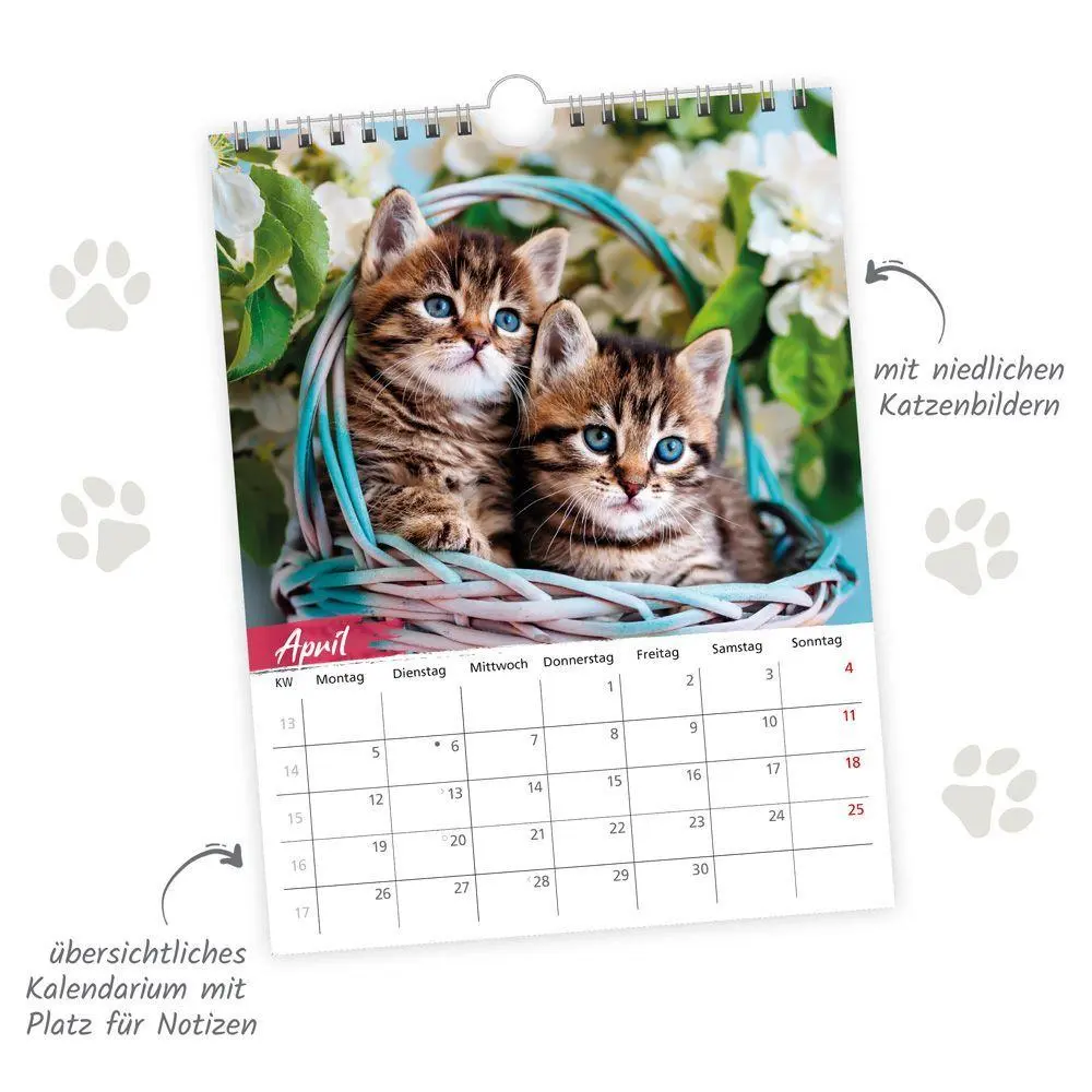 Bild: 9783988026804 | TRÖTSCH - Notizkalender zum Hängen Katzen 2027 | KG | Kalender | 24 S.