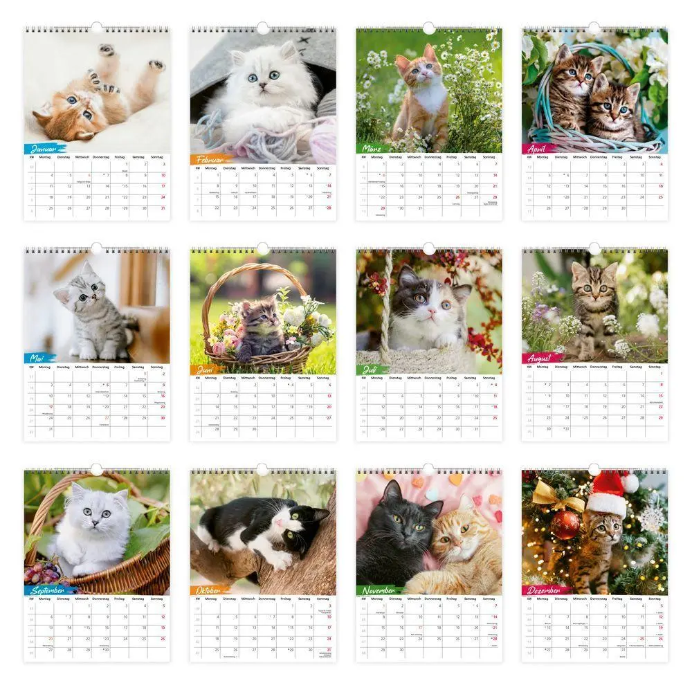 Bild: 9783988026804 | TRÖTSCH - Notizkalender zum Hängen Katzen 2027 | KG | Kalender | 24 S.