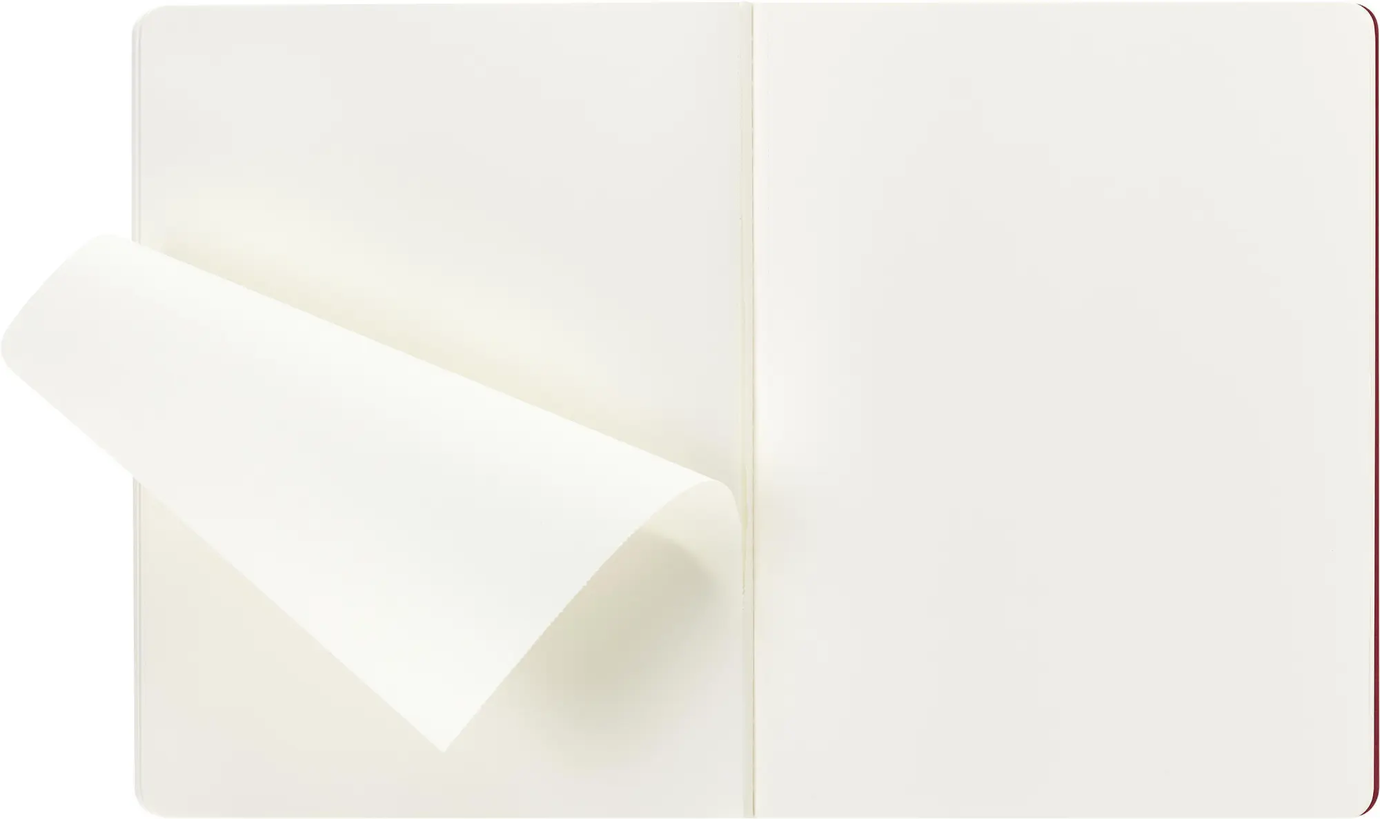 Bild: 8056999276904 | Moleskine Student Cahier, XXL, blanko, Kartoneinband, Rot | Buch