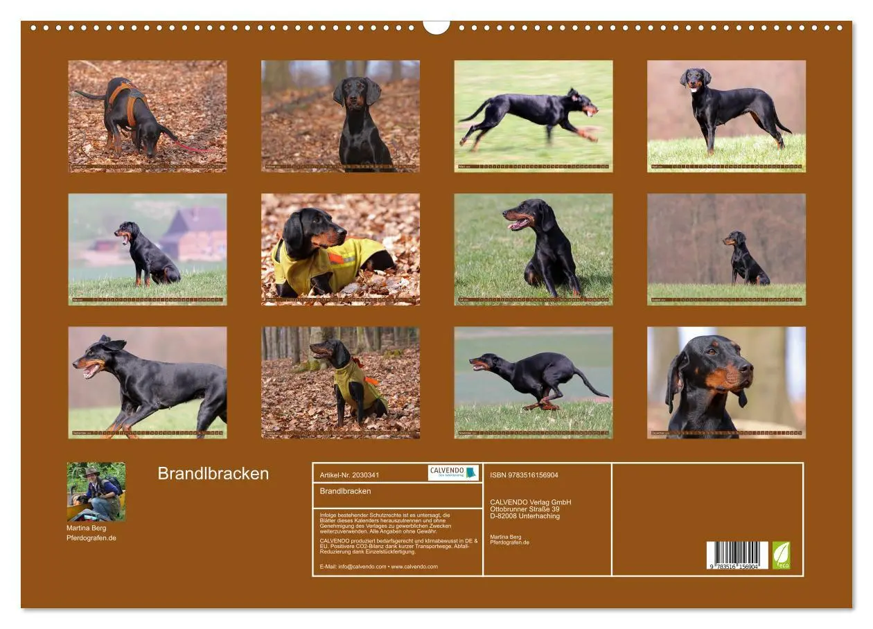Bild: 9783516156904 | Brandlbracken (Wandkalender 2026 DIN A2 quer), CALVENDO Monatskalender