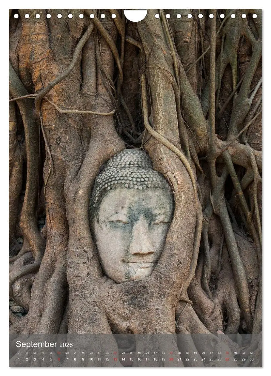Bild: 9783516466904 | Buddha - Harmonie und Gelassenheit (Wandkalender 2026 DIN A4 hoch),...