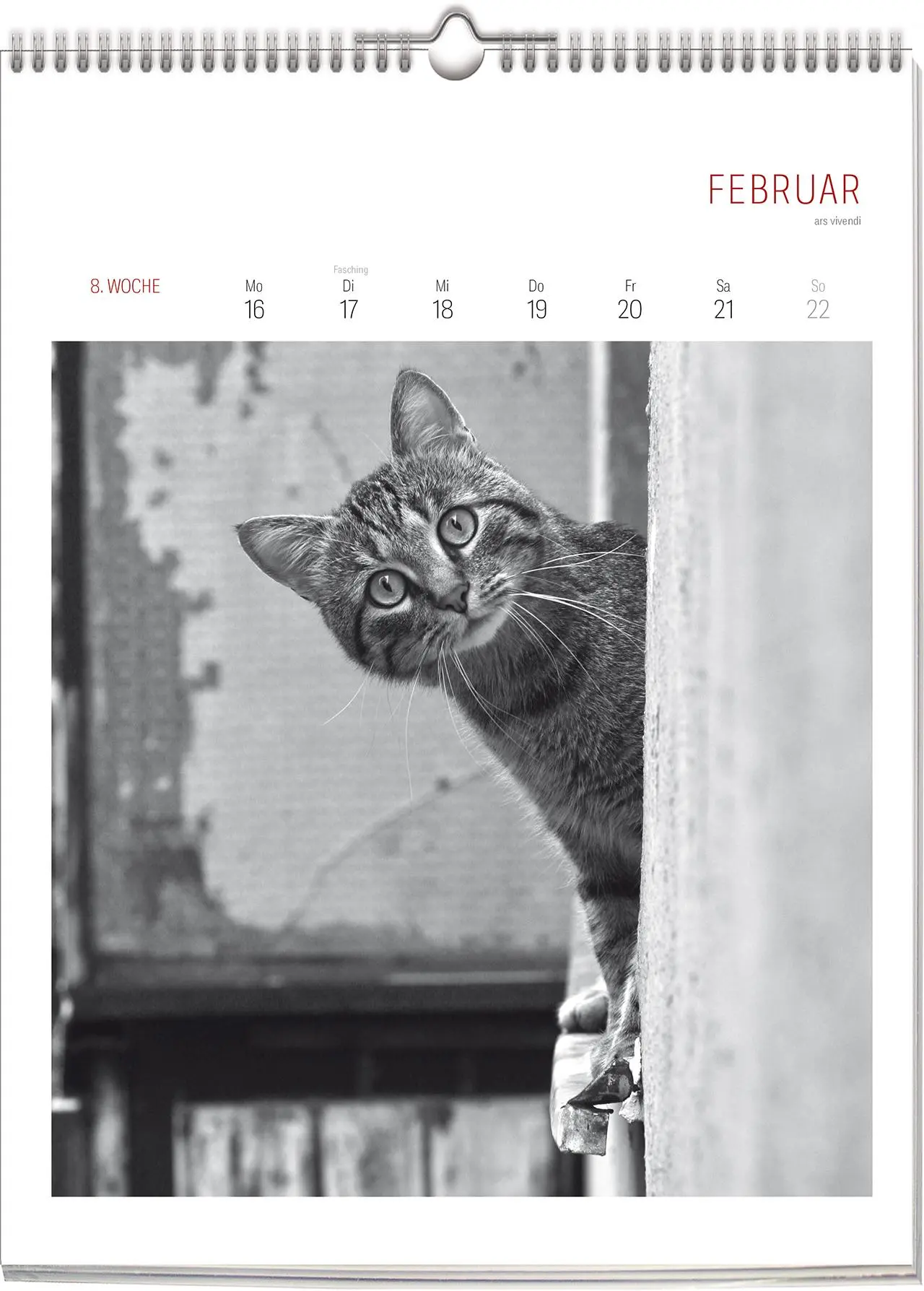 Bild: 9783747206904 | Katzen - Literarisch durchs Jahr 2026 | Wochenkalender | Vivendi Ars