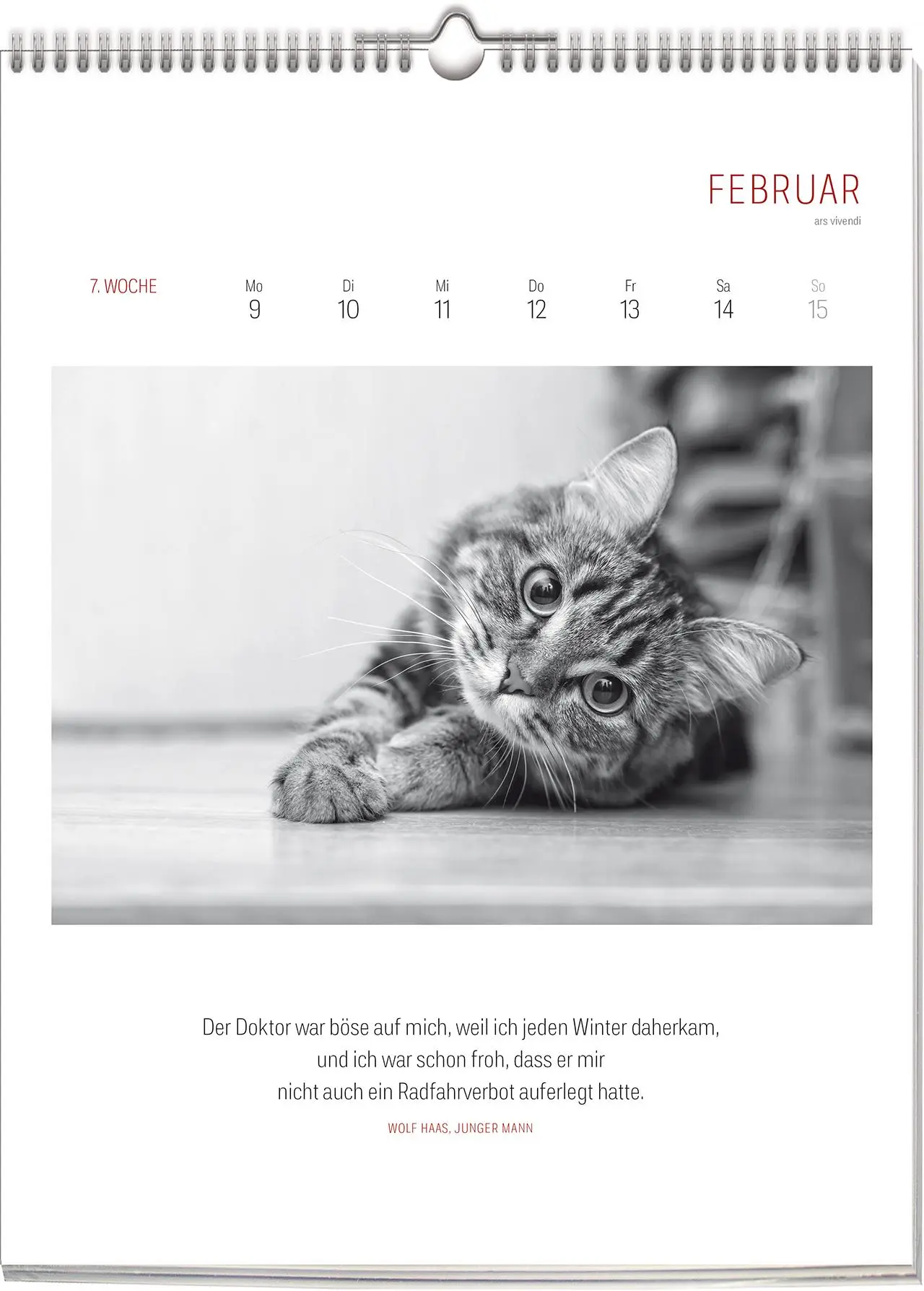 Bild: 9783747206904 | Katzen - Literarisch durchs Jahr 2026 | Wochenkalender | Vivendi Ars