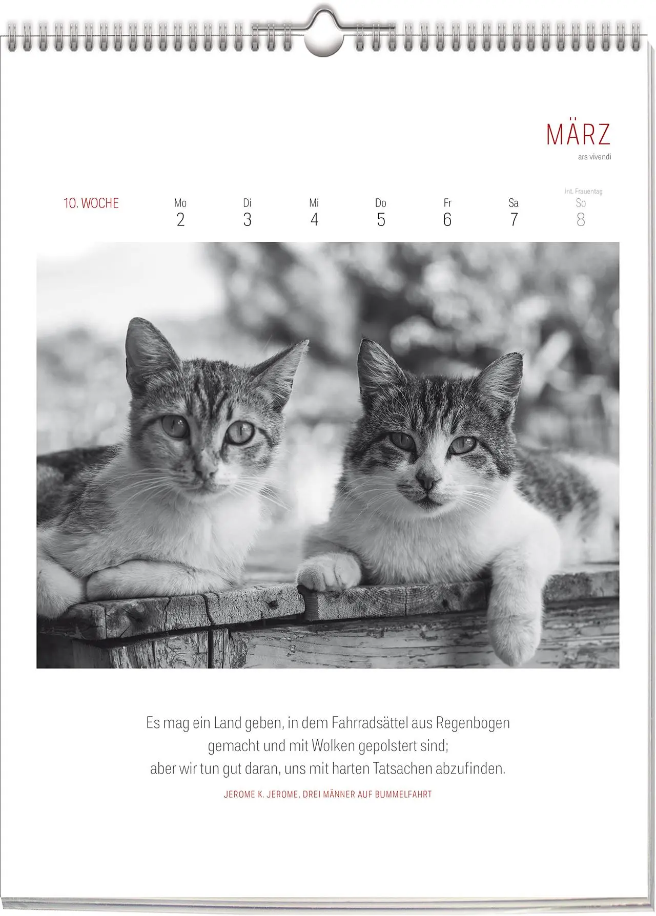 Bild: 9783747206904 | Katzen - Literarisch durchs Jahr 2026 | Wochenkalender | Vivendi Ars