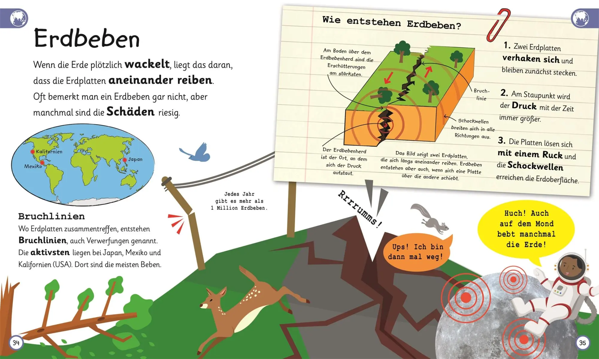 Bild: 9783831046904 | Wissen für Vorschulkids. Was weißt du über die Erde? | Mills (u. a.)