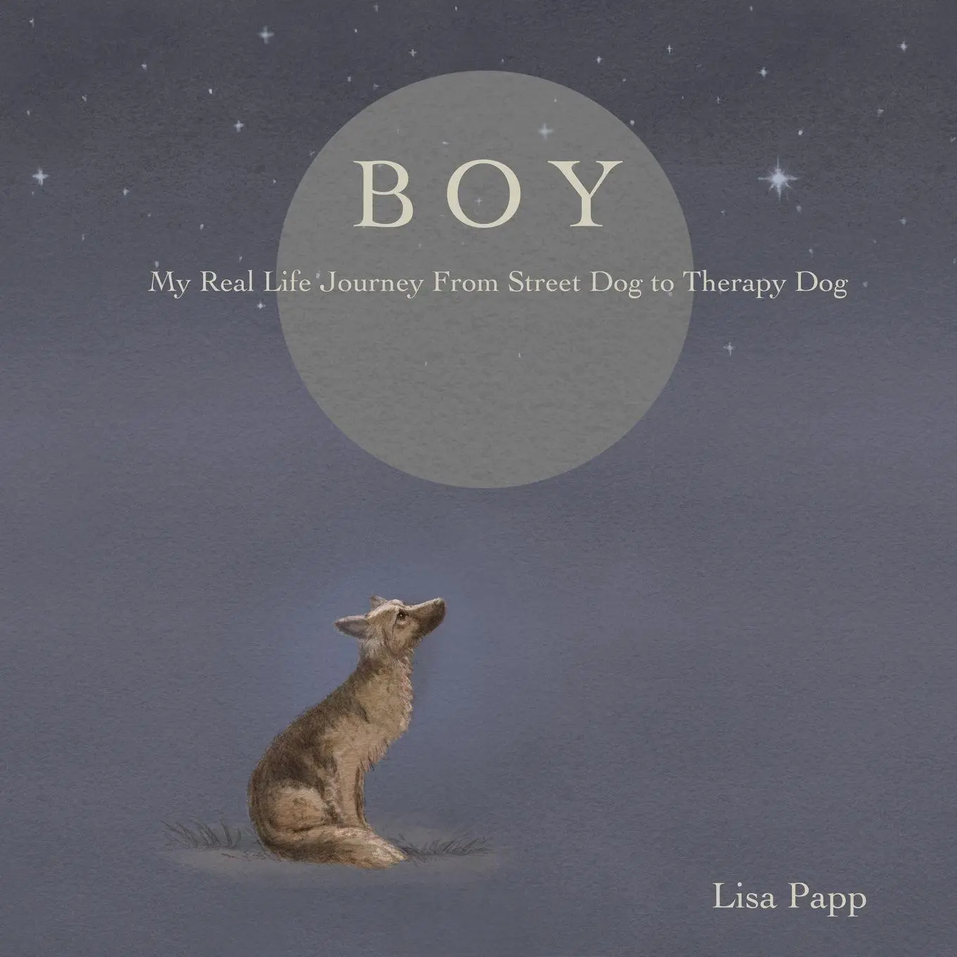 Cover: 9798997276904 | BOY My Real Life Journey From Street Dog to Therapy Dog | Lisa Papp