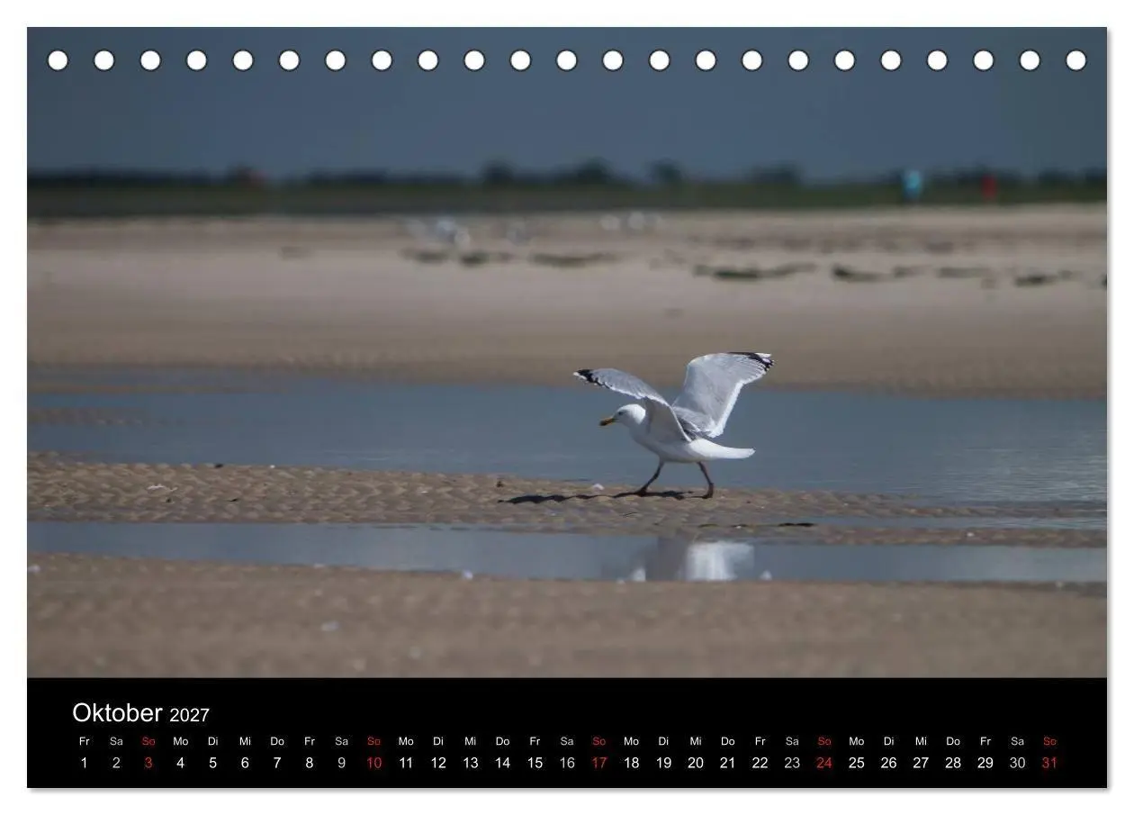 Bild: 9783594027004 | Amrumer Impressionen (Tischkalender 2027 DIN A5 quer), CALVENDO...