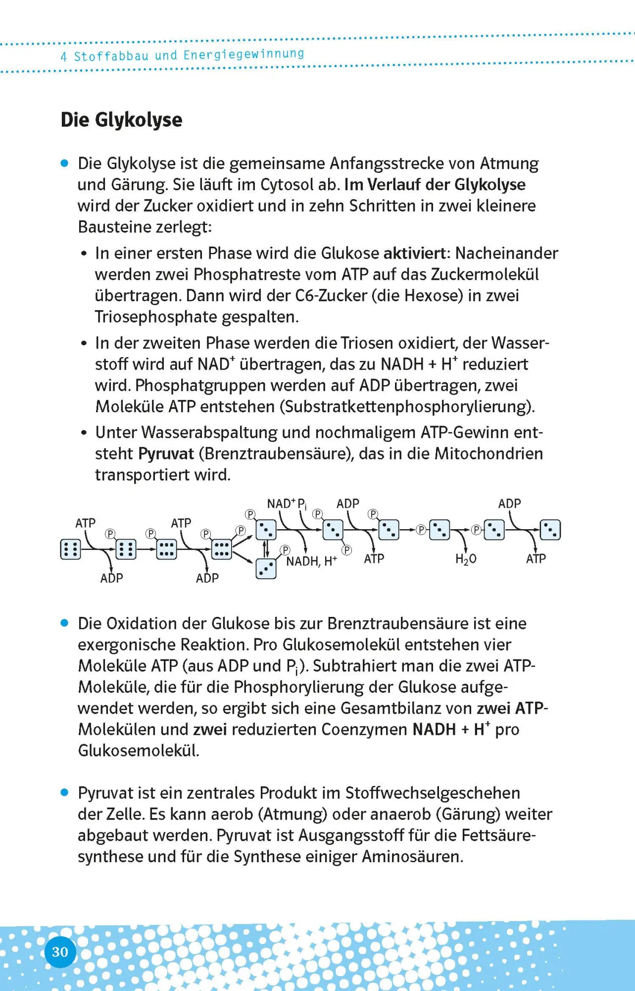 Bild: 9783129497104 | Abi last minute Biologie | Taschenbuch | 160 S. | Deutsch | 2022