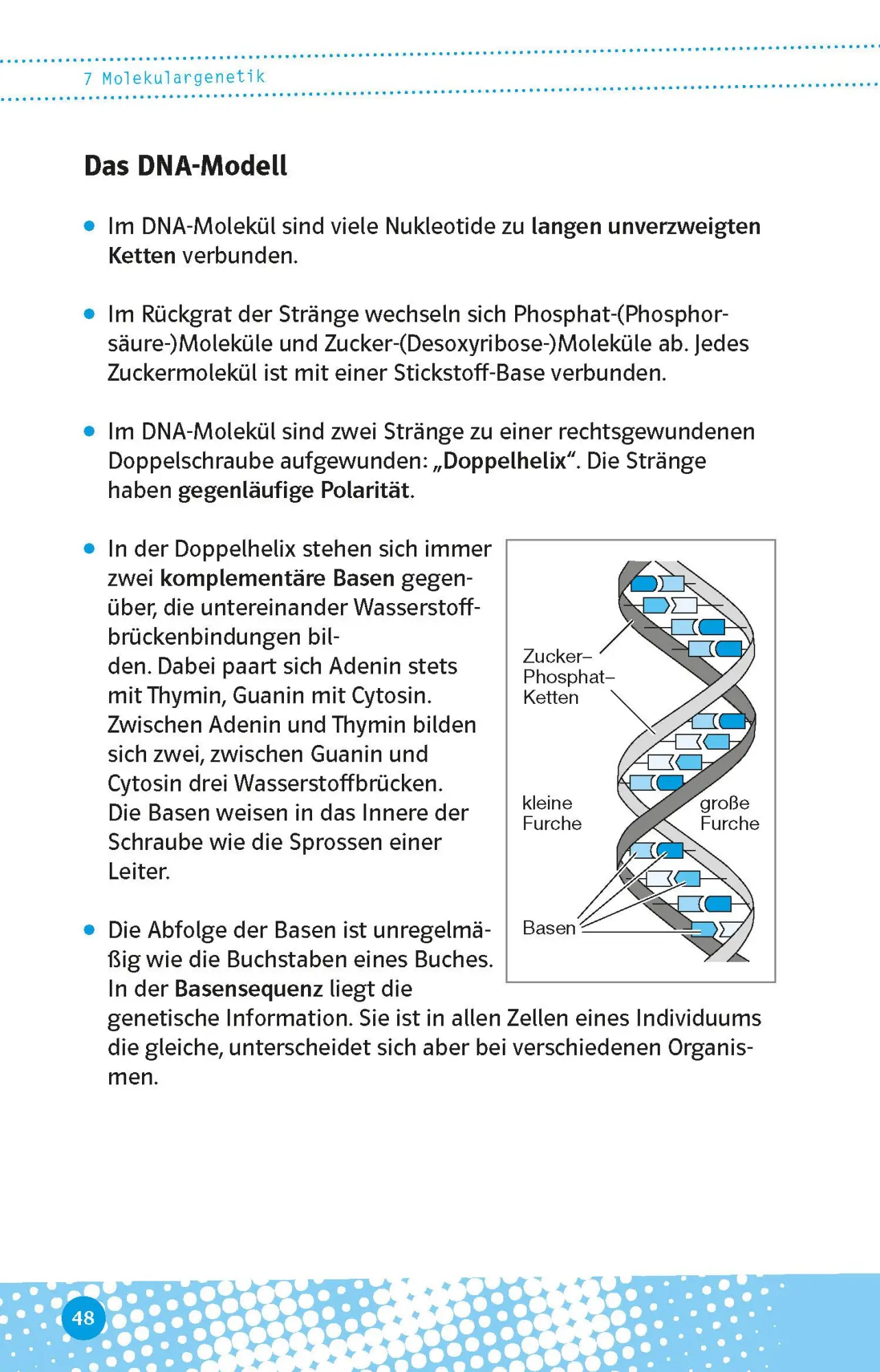 Bild: 9783129497104 | Abi last minute Biologie | Taschenbuch | 160 S. | Deutsch | 2022