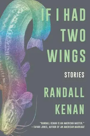 Cover: 9780393867404 | If I Had Two Wings: Stories | Randall Kenan | Taschenbuch | Englisch