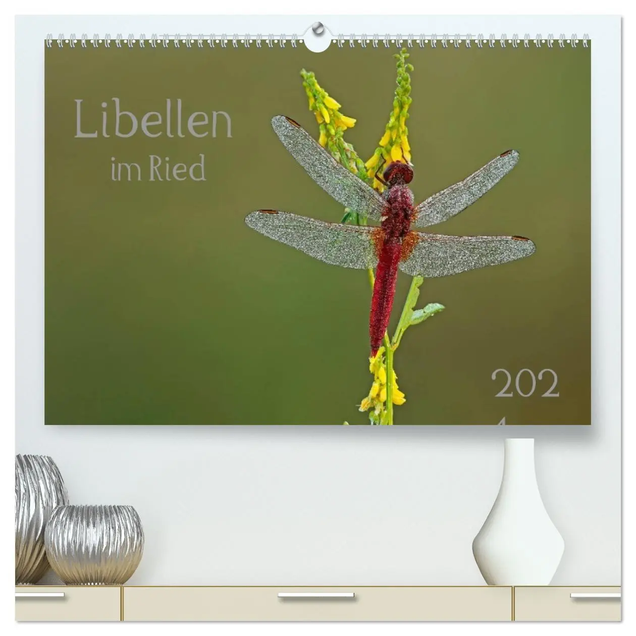 Cover: 9783516007404 | Libellen im Ried (hochwertiger Premium Wandkalender 2026 DIN A2...