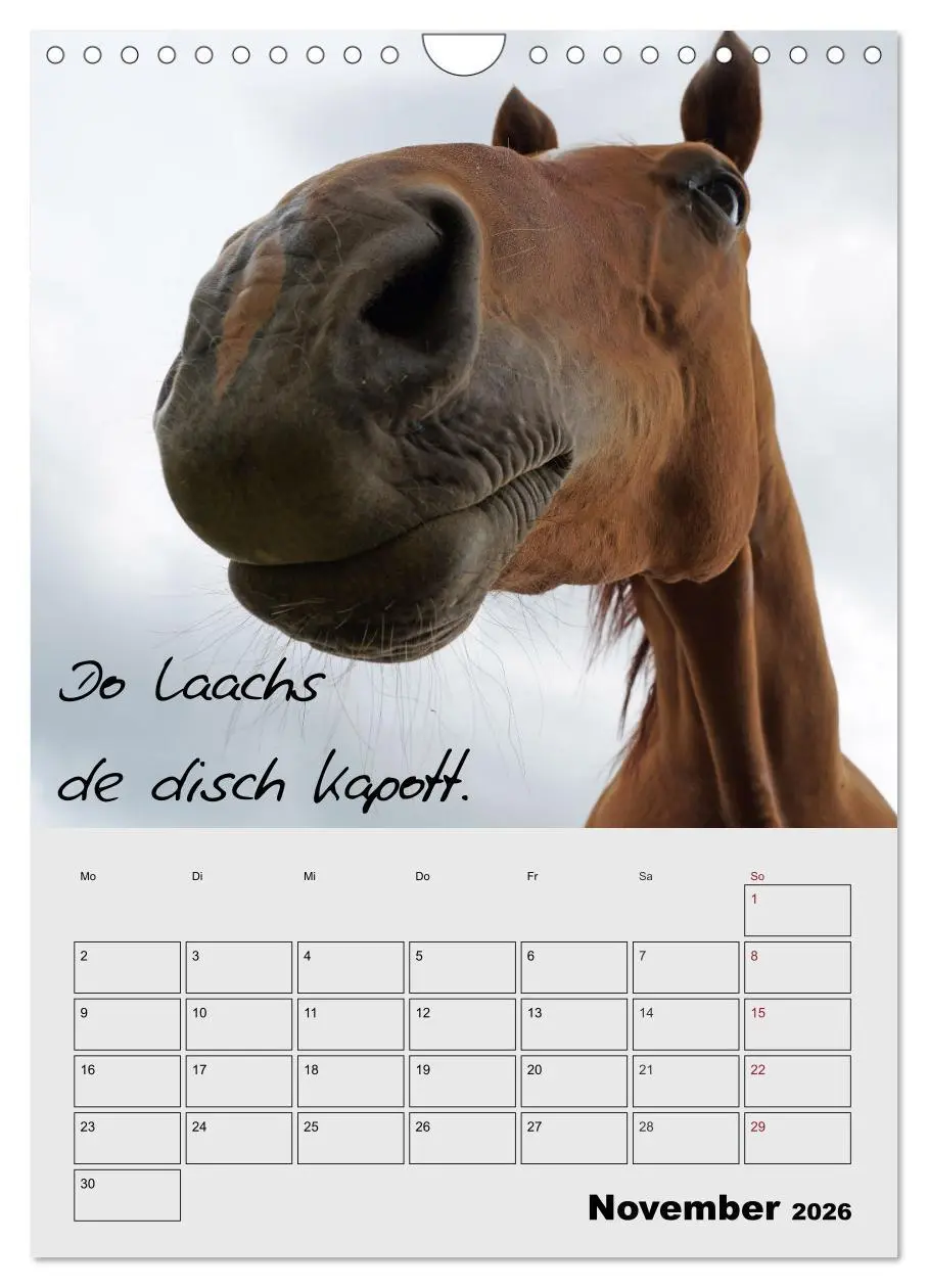 Bild: 9783516487404 | Kölsches Grundgesetz (Wandkalender 2026 DIN A4 hoch), CALVENDO...