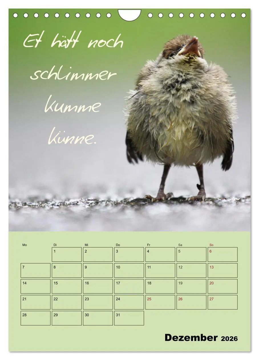 Bild: 9783516487404 | Kölsches Grundgesetz (Wandkalender 2026 DIN A4 hoch), CALVENDO...