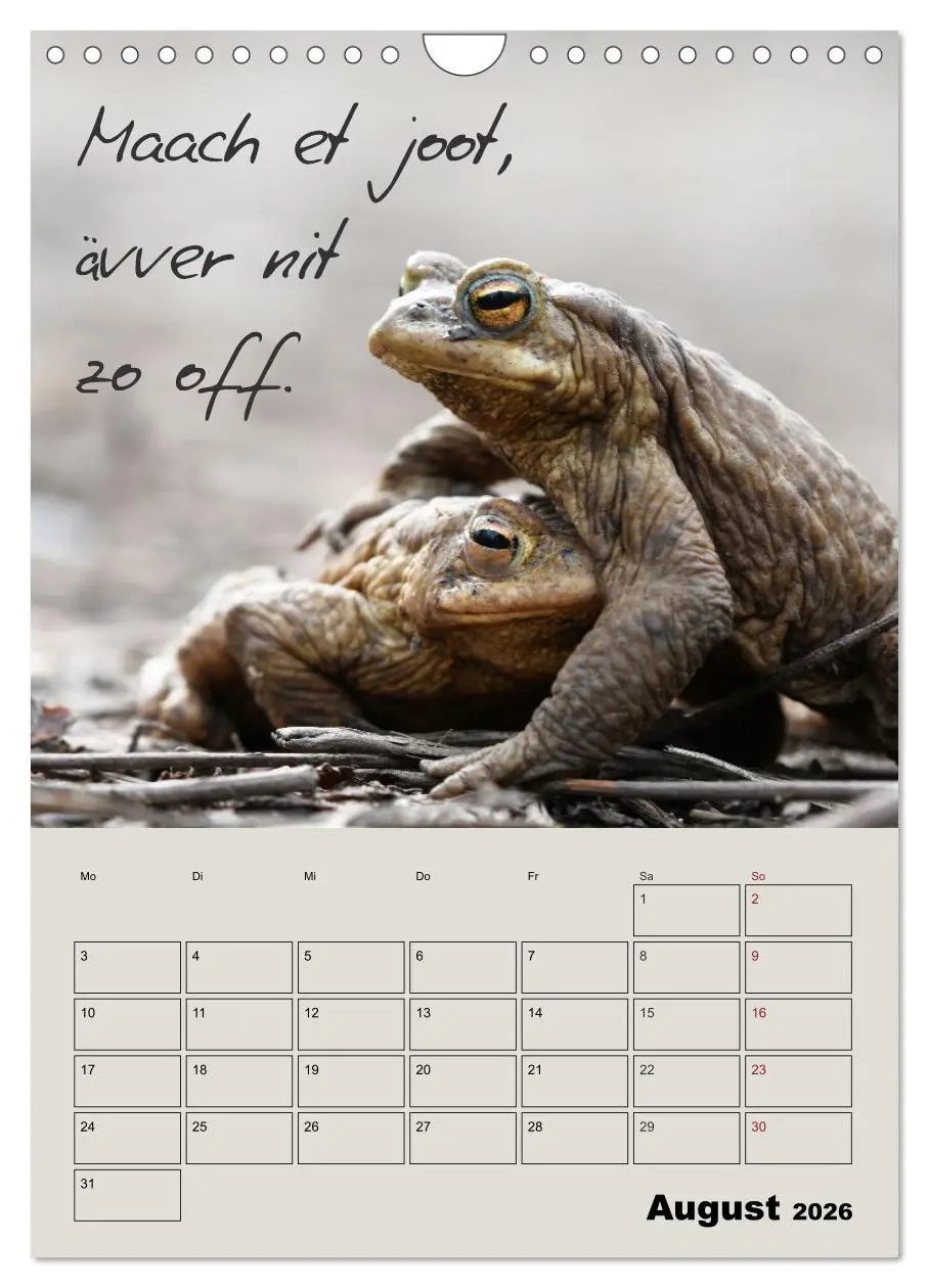 Bild: 9783516487404 | Kölsches Grundgesetz (Wandkalender 2026 DIN A4 hoch), CALVENDO...