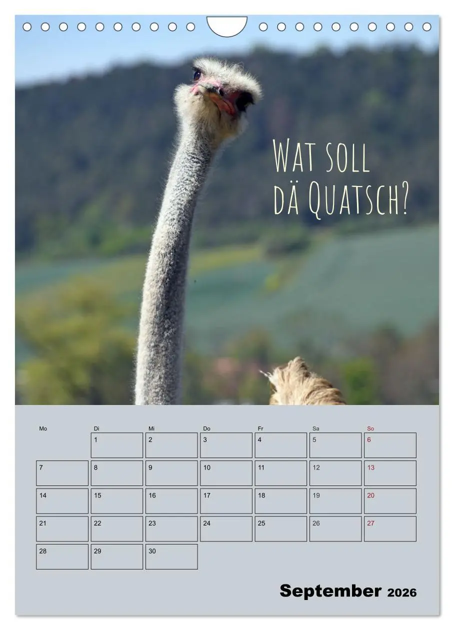 Bild: 9783516487404 | Kölsches Grundgesetz (Wandkalender 2026 DIN A4 hoch), CALVENDO...