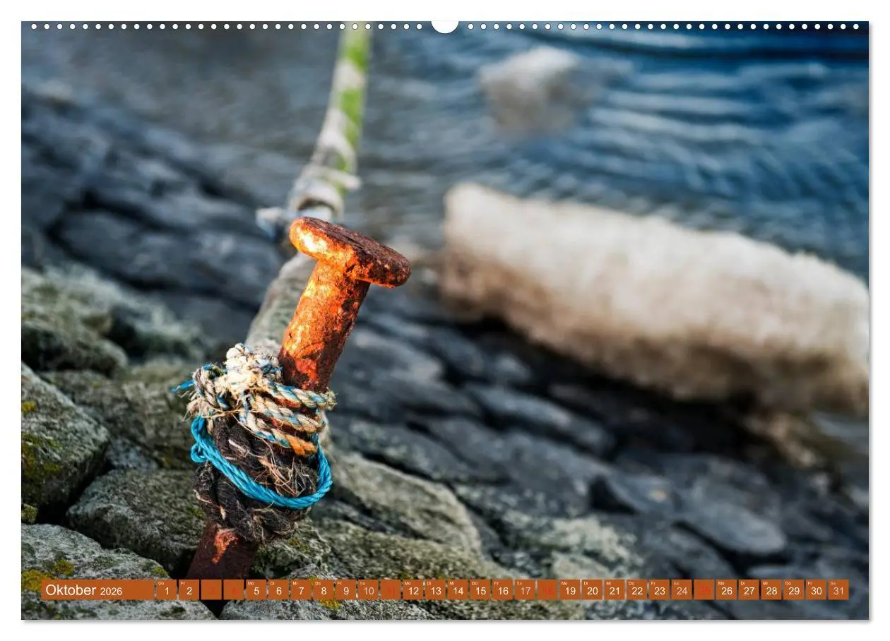 Bild: 9783516167504 | Die Hallig Langeneß (hochwertiger Premium Wandkalender 2026 DIN A2...
