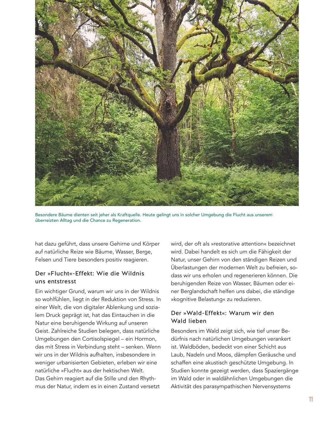 Bild: 9783833897504 | Let's go wild! | Antje Arnold | Buch | GU Gartenpraxis | 224 S. | 2026