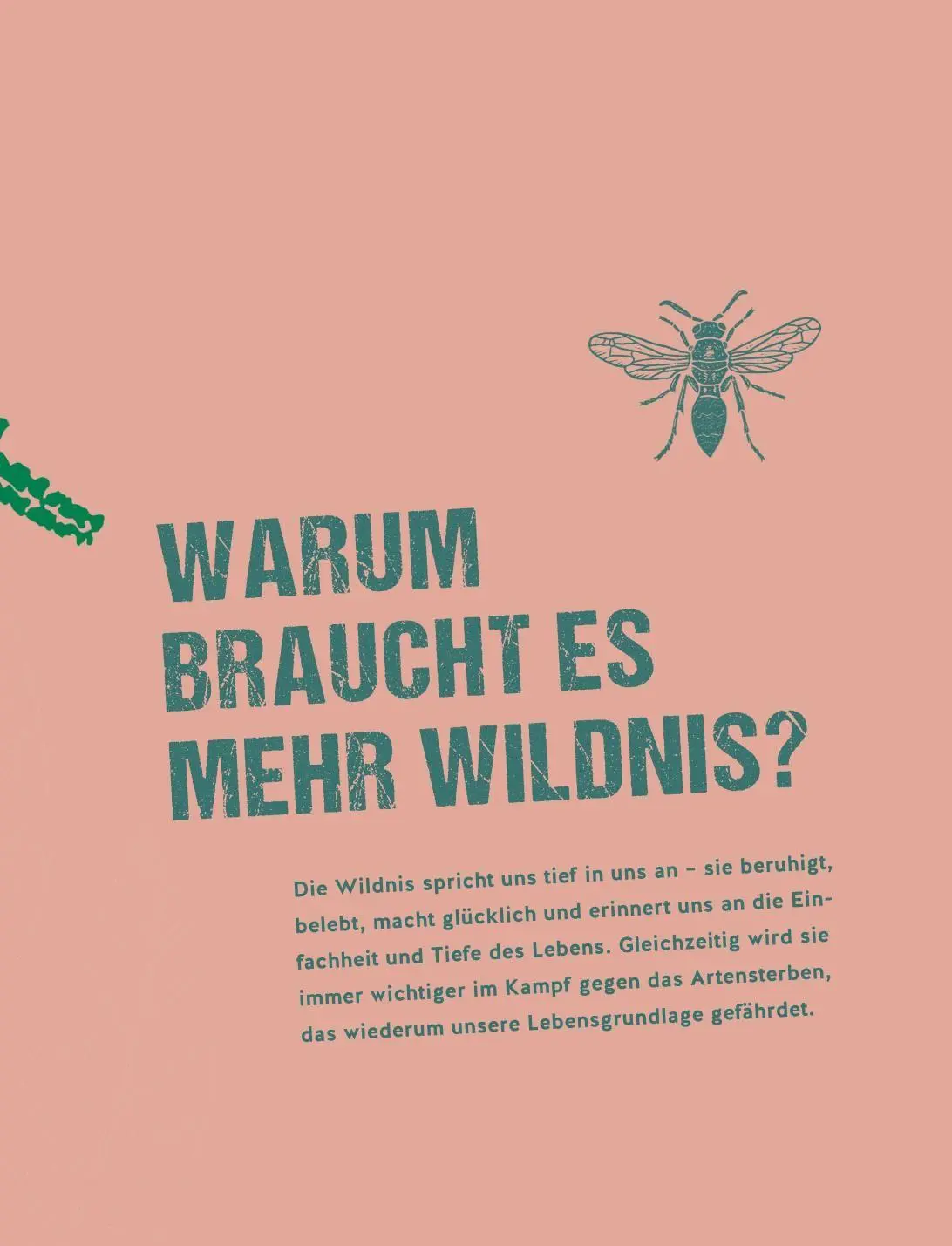Bild: 9783833897504 | Let's go wild! | Antje Arnold | Buch | GU Gartenpraxis | 224 S. | 2026