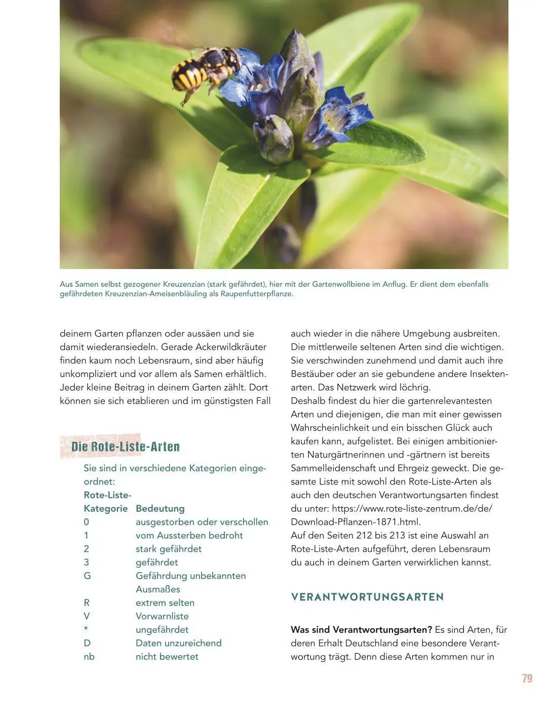 Bild: 9783833897504 | Let's go wild! | Antje Arnold | Buch | GU Gartenpraxis | 224 S. | 2026