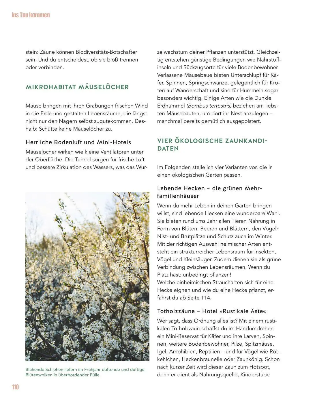 Bild: 9783833897504 | Let's go wild! | Antje Arnold | Buch | GU Gartenpraxis | 224 S. | 2026