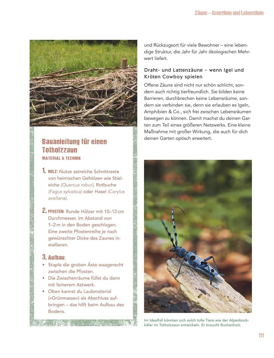 Bild: 9783833897504 | Let's go wild! | Antje Arnold | Buch | GU Gartenpraxis | 224 S. | 2026