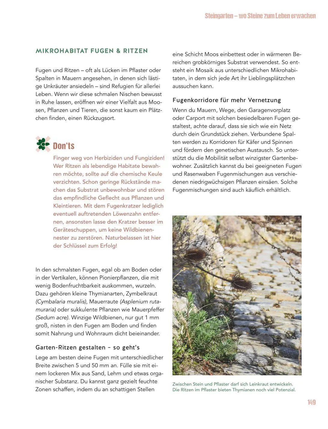 Bild: 9783833897504 | Let's go wild! | Antje Arnold | Buch | GU Gartenpraxis | 224 S. | 2026