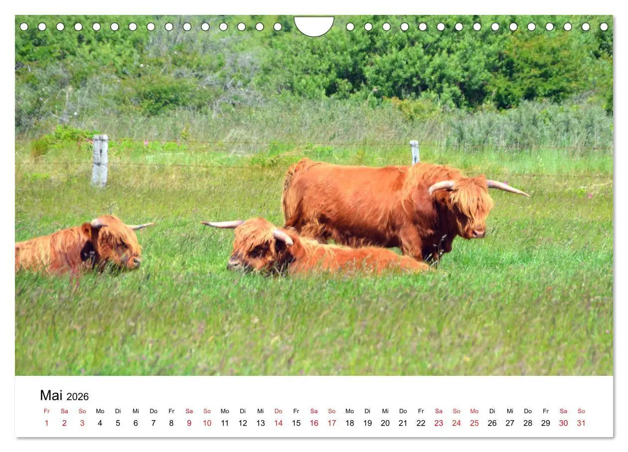Bild: 9783457827604 | Langeoog - Sommer, Sonne, Strand (Wandkalender 2026 DIN A4 quer),...